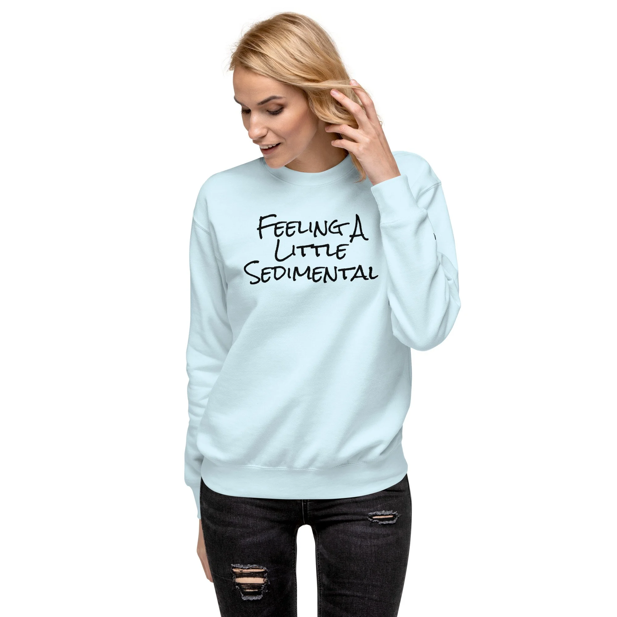 unisex-premium-sweatshirt-sky-blue-front-69d5d204a66a9.jpg