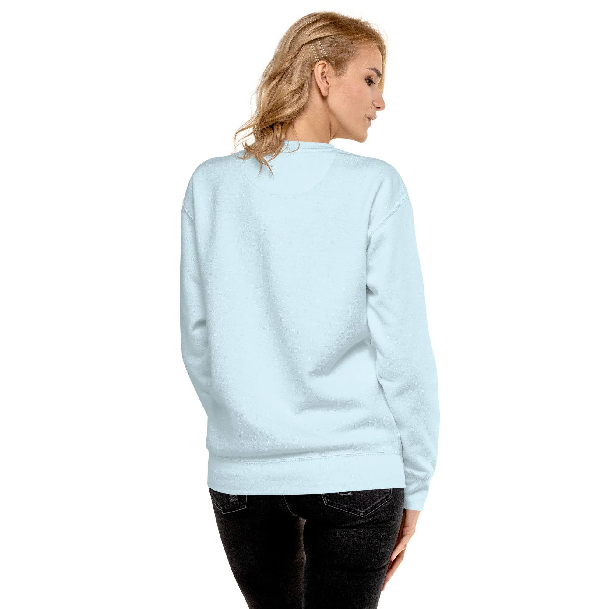 unisex-premium-sweatshirt-sky-blue-back-69d5d204adc6d.jpg