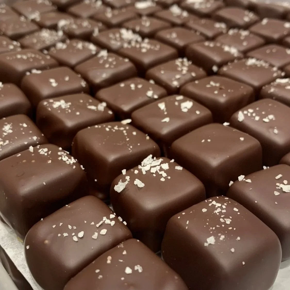 Chocolats symphoniques
