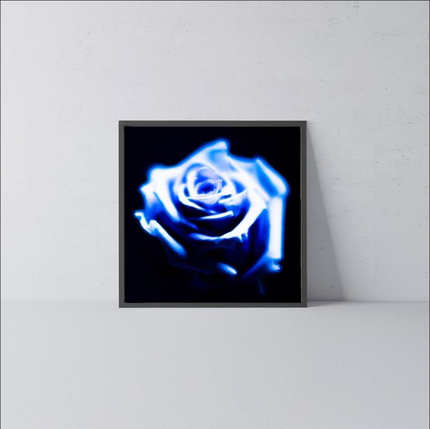 A Million Ways To Be A Rose