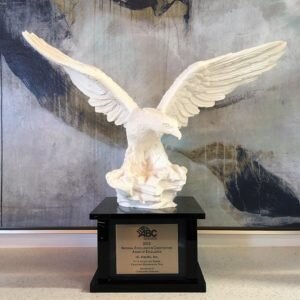 2013 Eagle Award - 1st Place