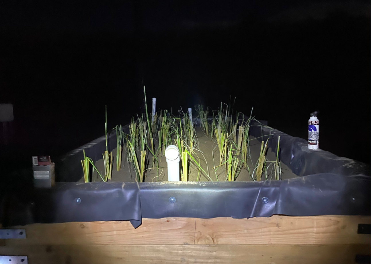 Bioreactor Gardens Home Page Ridge to Reefs