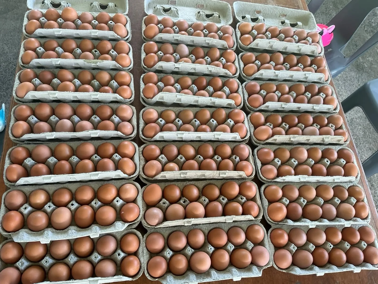 AS Coop 1.JPG
