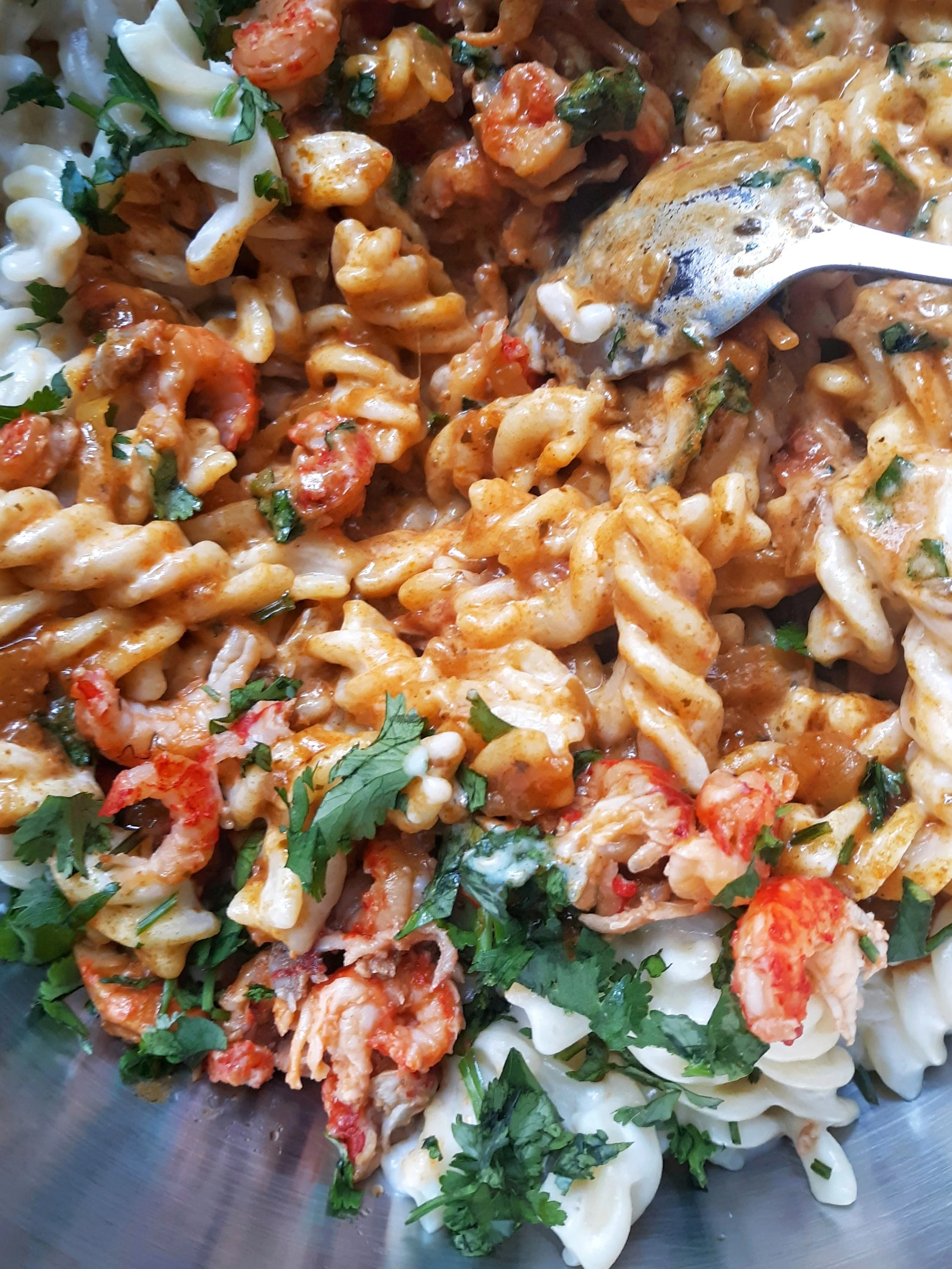 fusilli-dopiaza-iv.jpg
