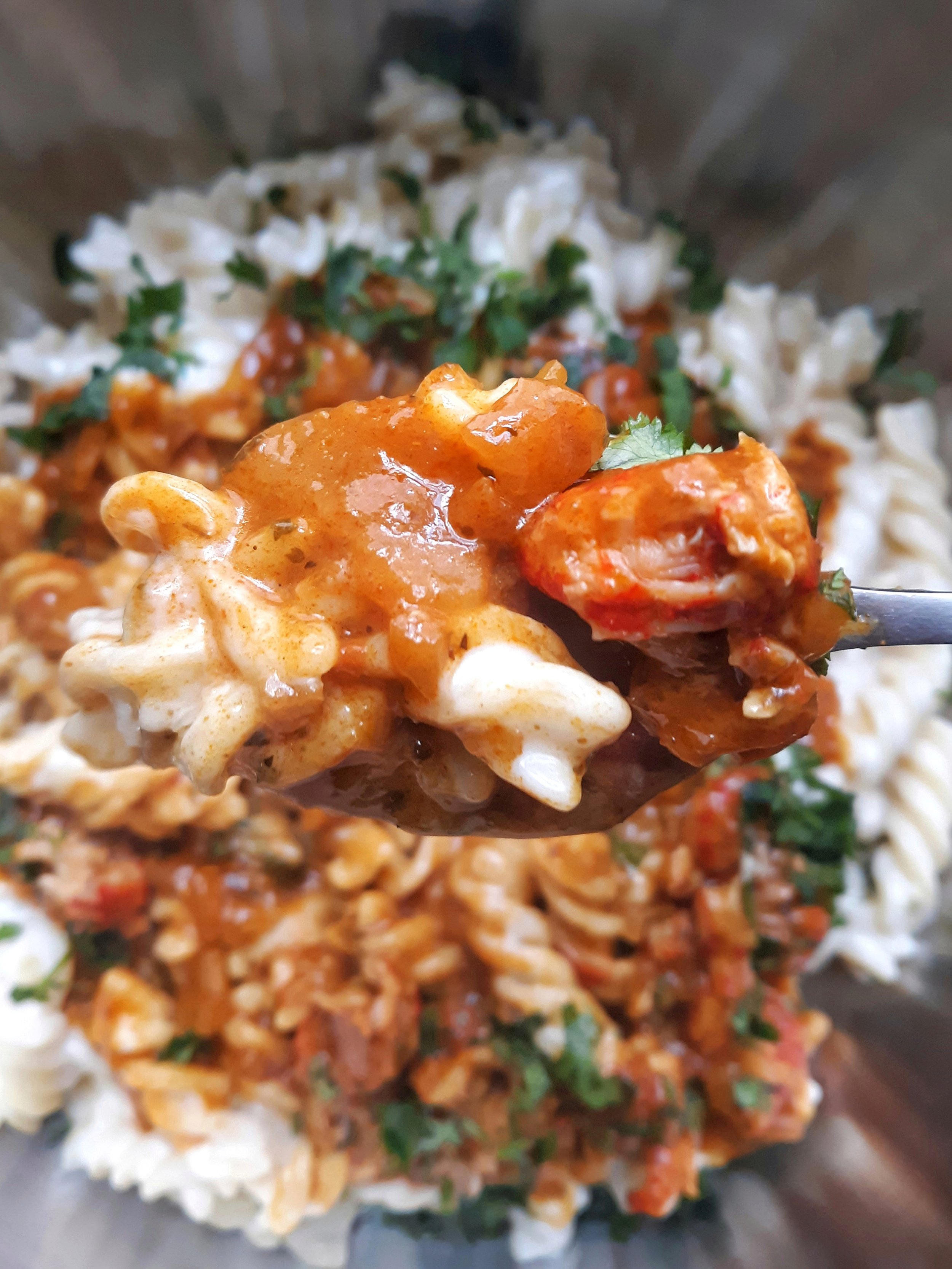 fusilli-dopiaza-iii.jpg