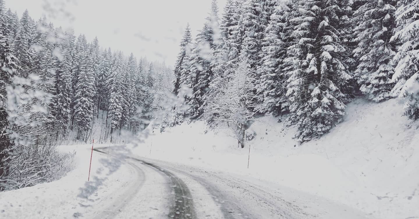 Winter is back to business !!

#winter #snowfall  #feodor #hautjura #jura #montagnesdujura #microbrewery #microbrasserie #smokedmeat #smoker #smokehouse #cuisineaufumoir #juratourisme