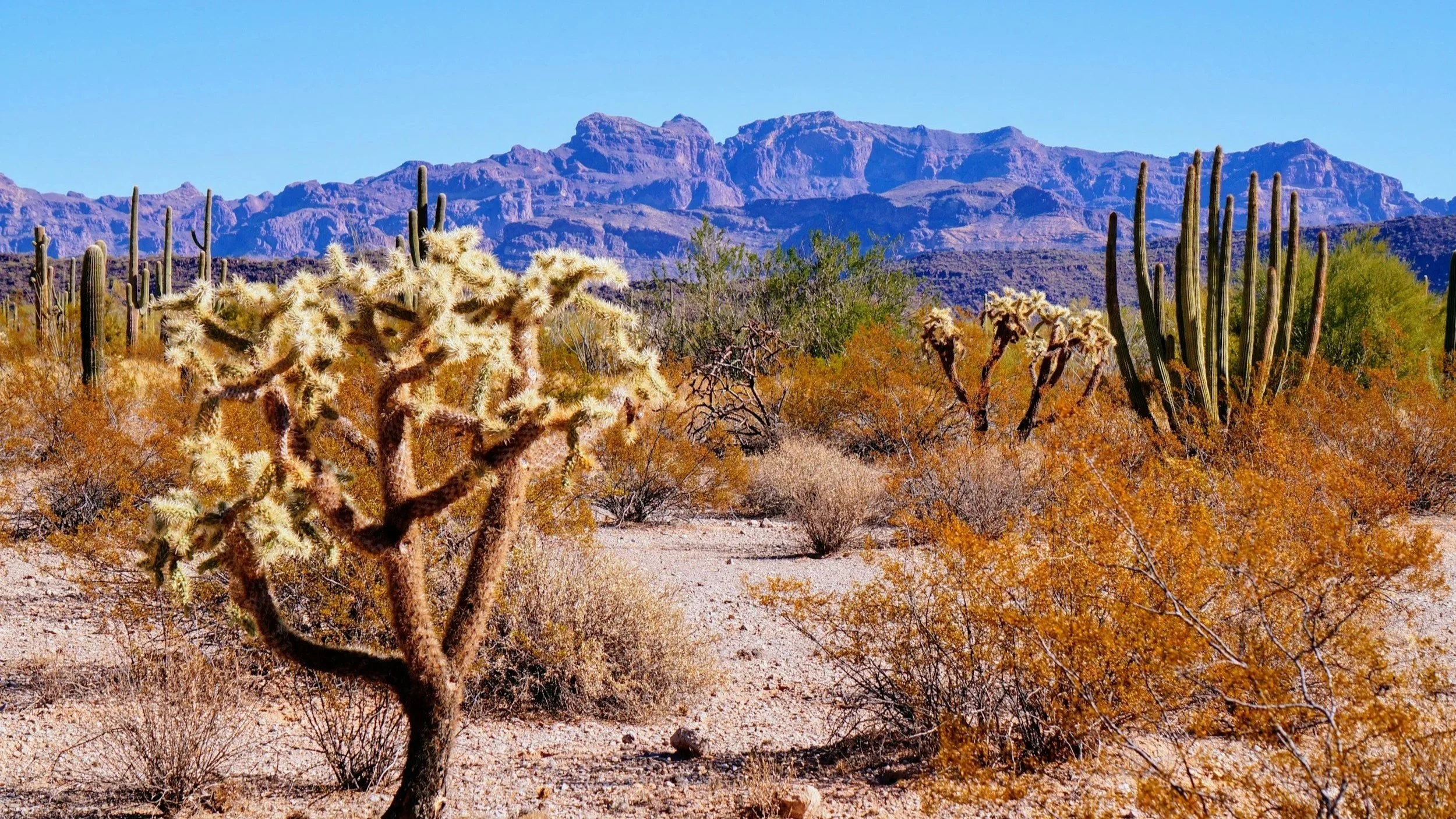 Actions Speak Loudly!