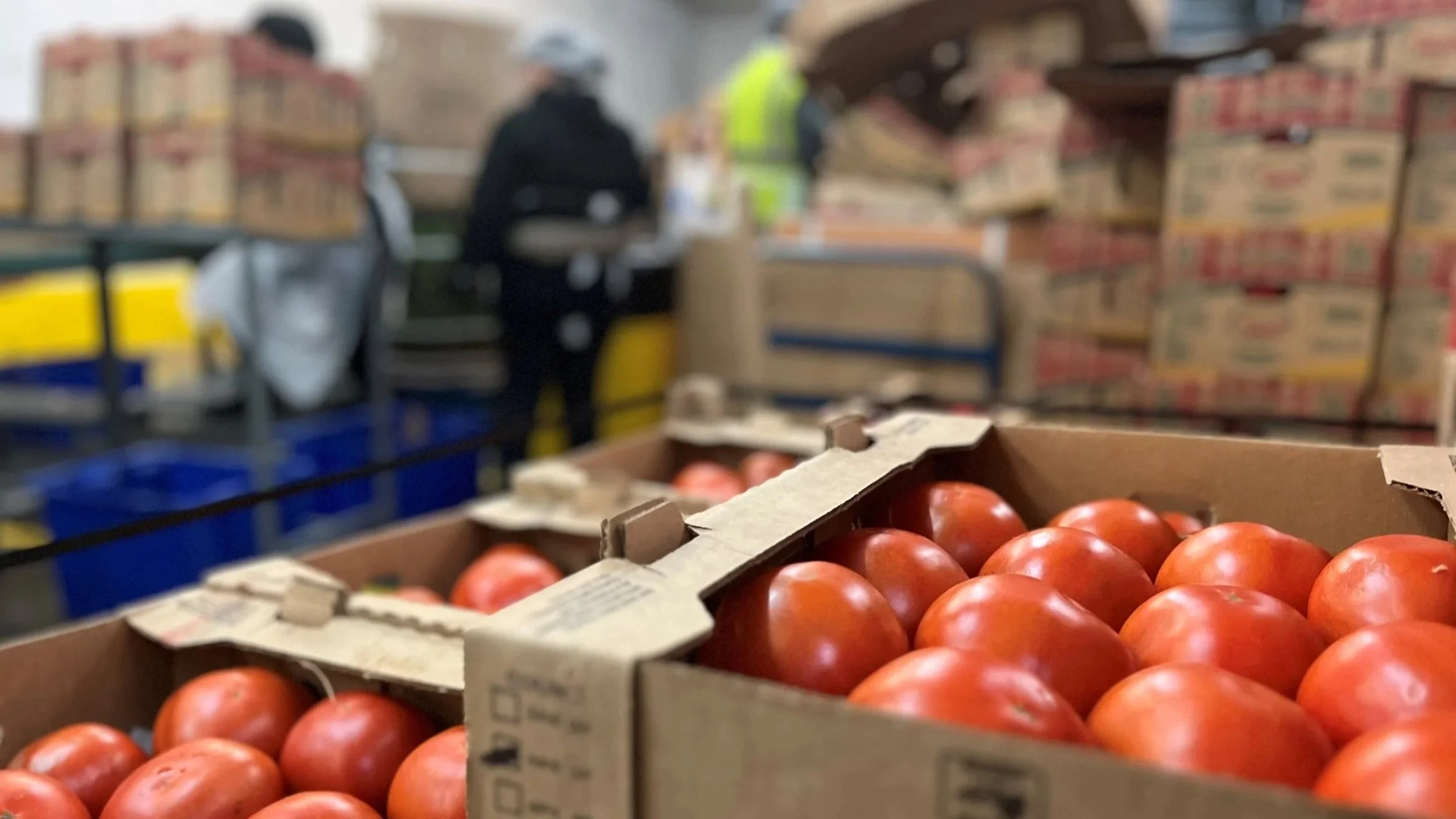 Advocacy Update from Arizona Food Bank Network