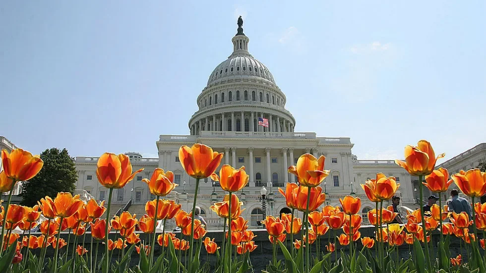 August Recess Is Your Time to Shine