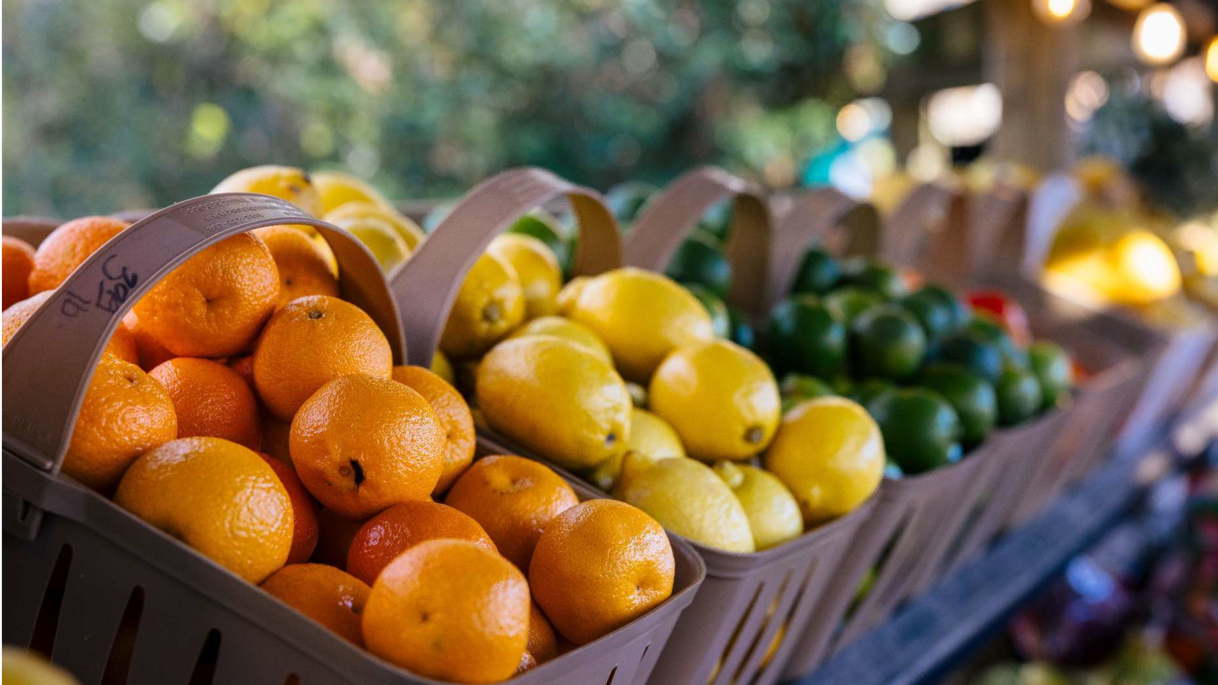 New Hunger Data Shows Arizona Still Has Work to Do