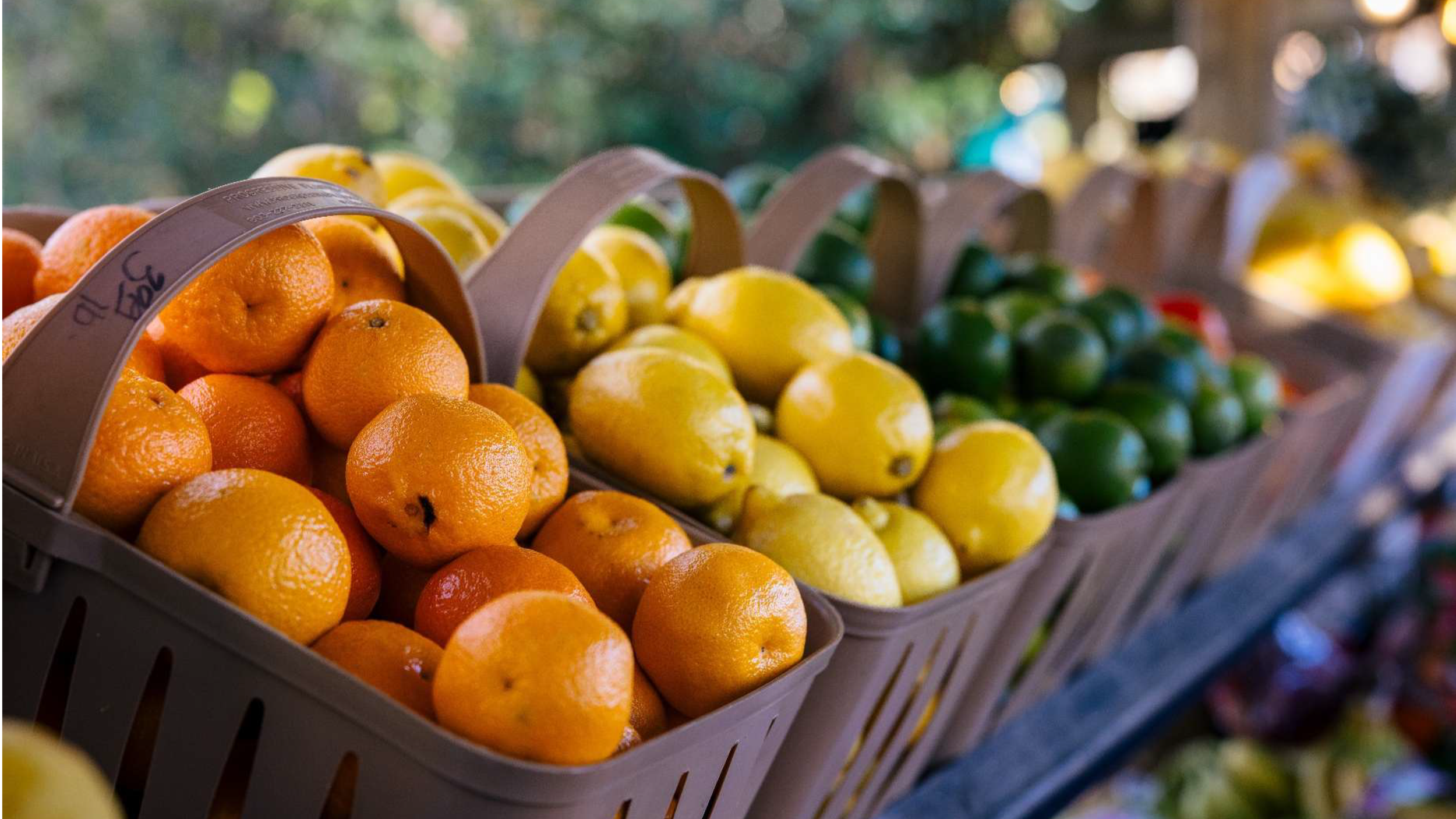 New Hunger Data Shows Arizona Still Has Work to Do