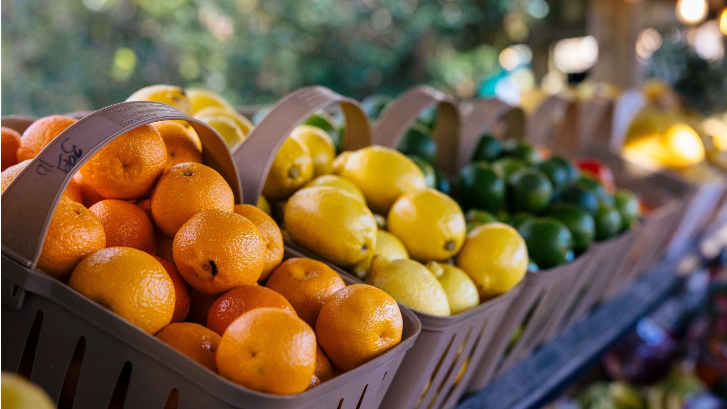 New Hunger Data Shows Arizona Still Has Work to Do