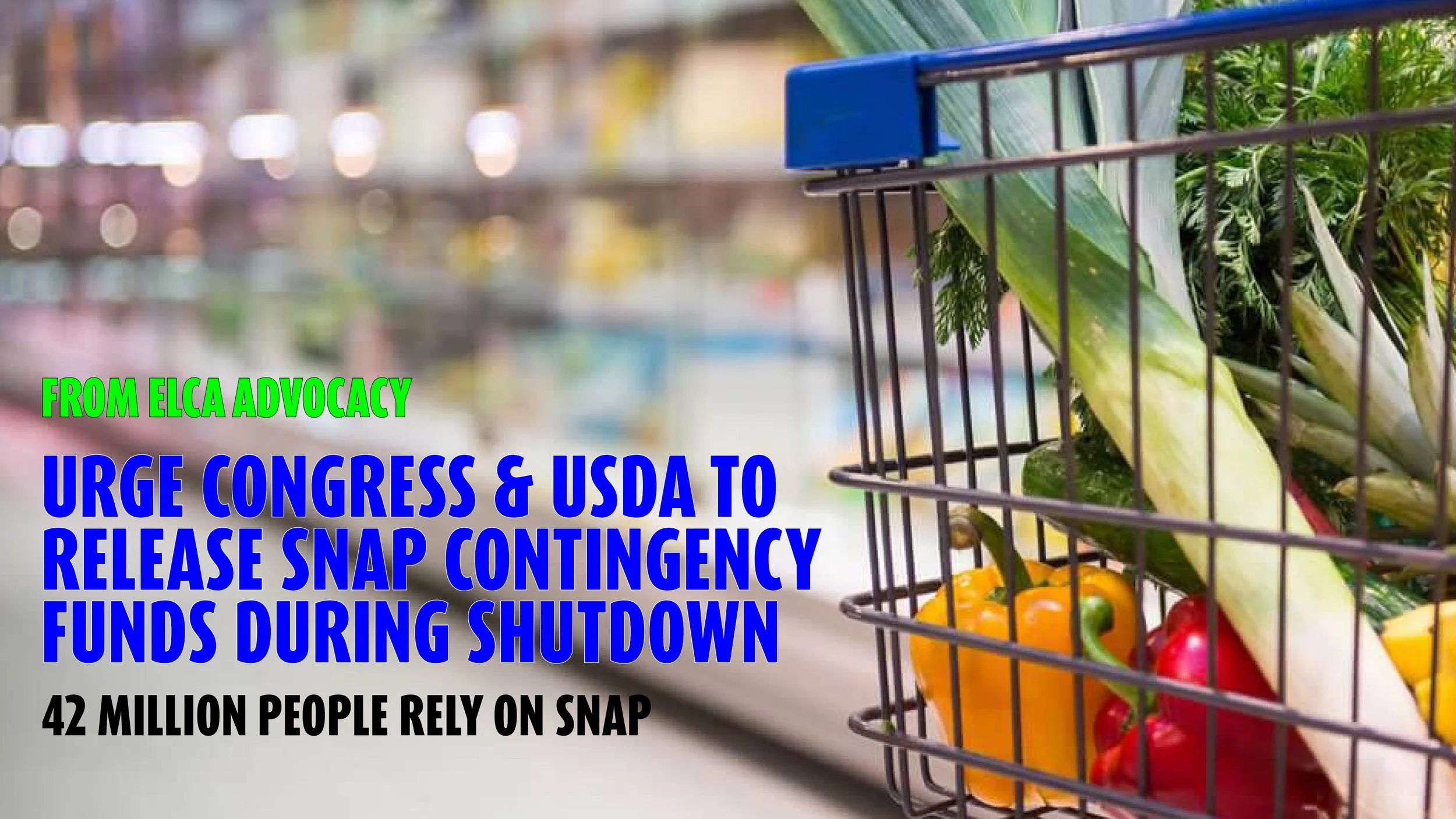 ELCA Action Alert: 42 Million Americans Face Hunger Crisis During Shutdown