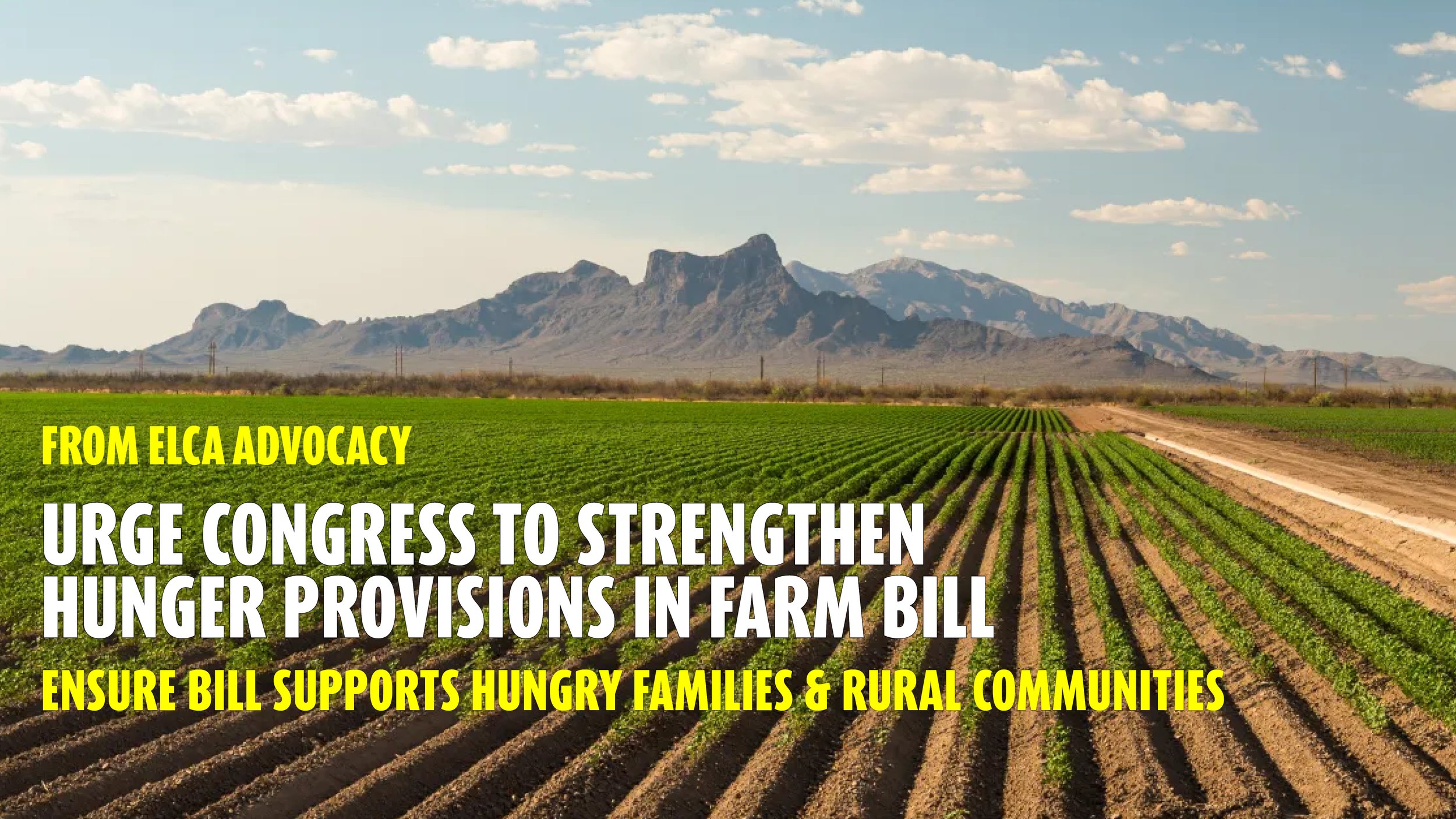 ELCA Action Alert: Strengthen Hunger Provisions in Farm Bill