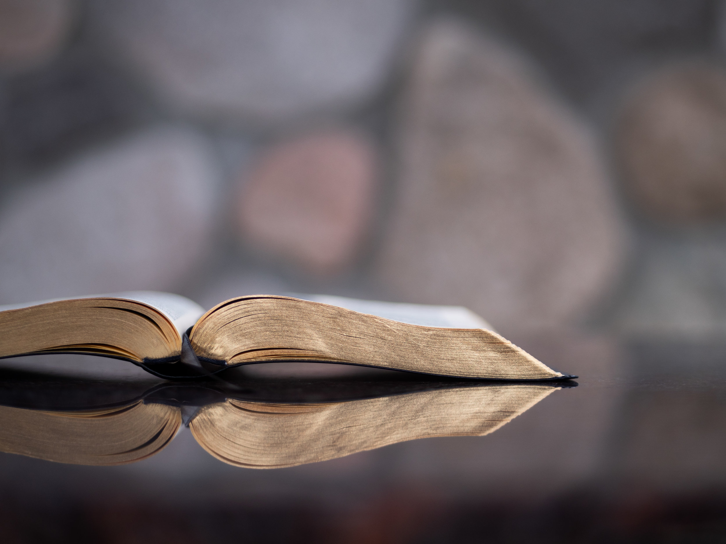 Sermon 1-5-2020 "The Mercy You Need"