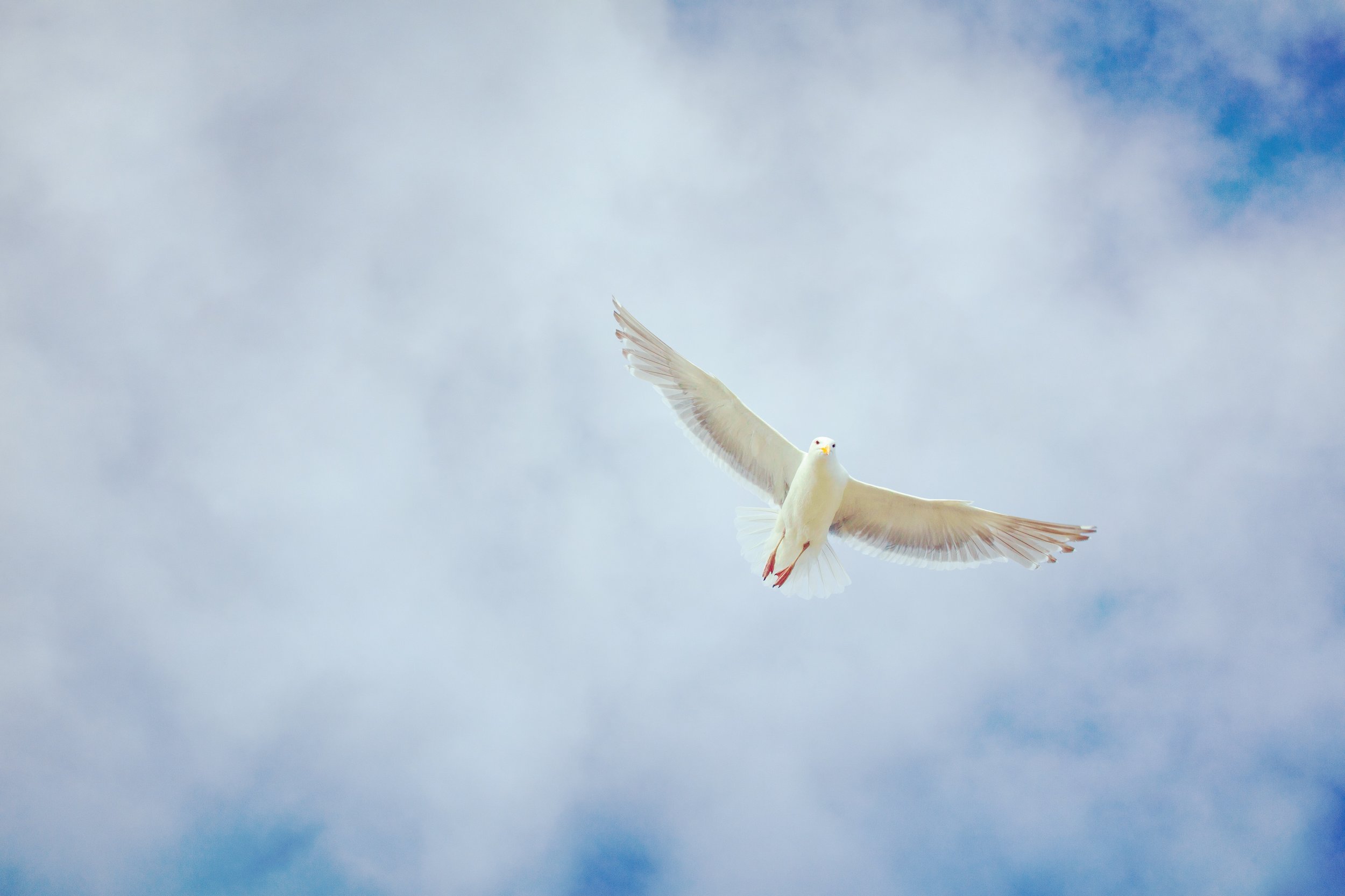 March 22, 2020 "Fellowship of the Holy Spirit"