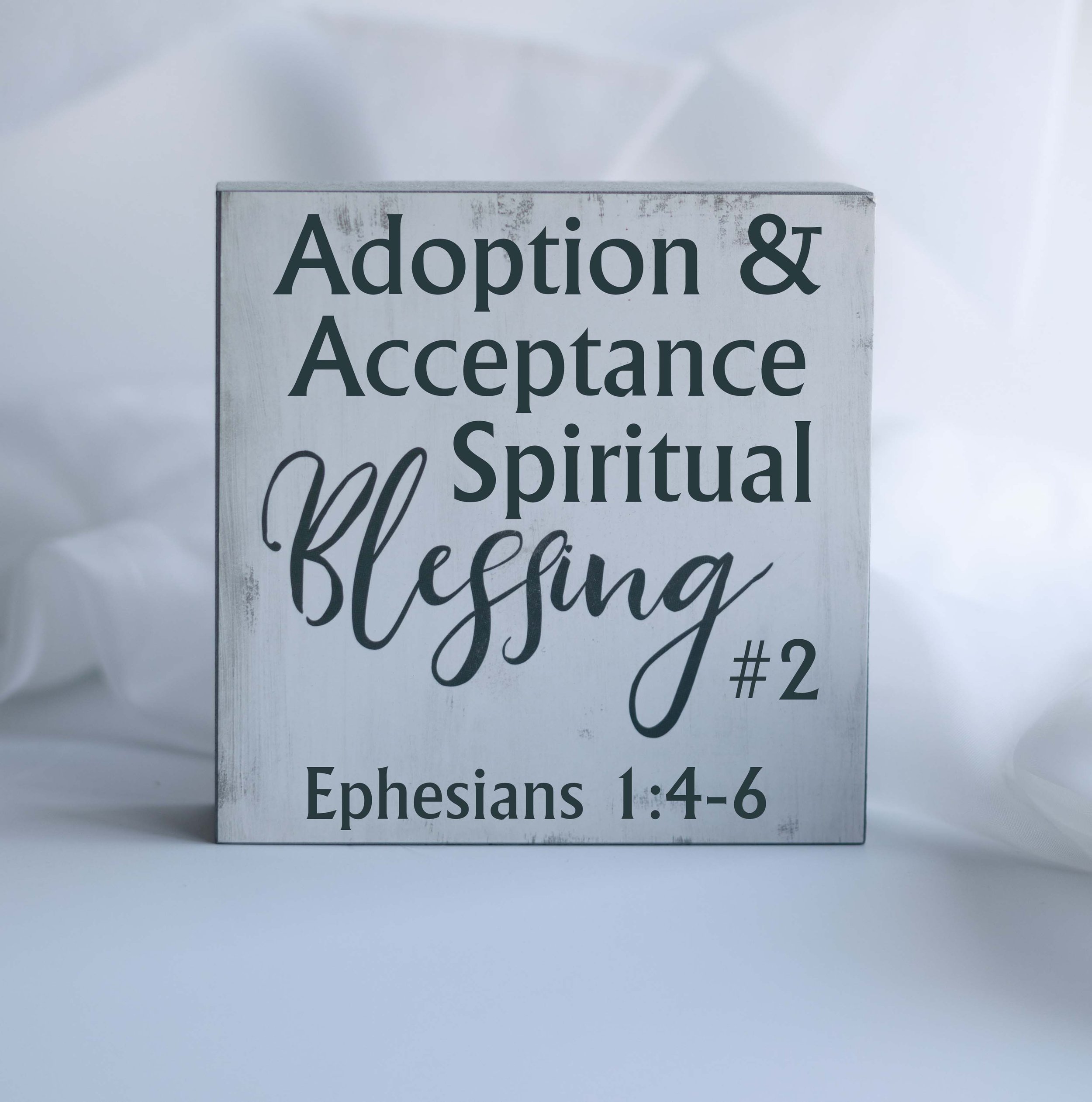 February 13, 2022 “Spiritual Blessing # 2: Adoption & Acceptance”