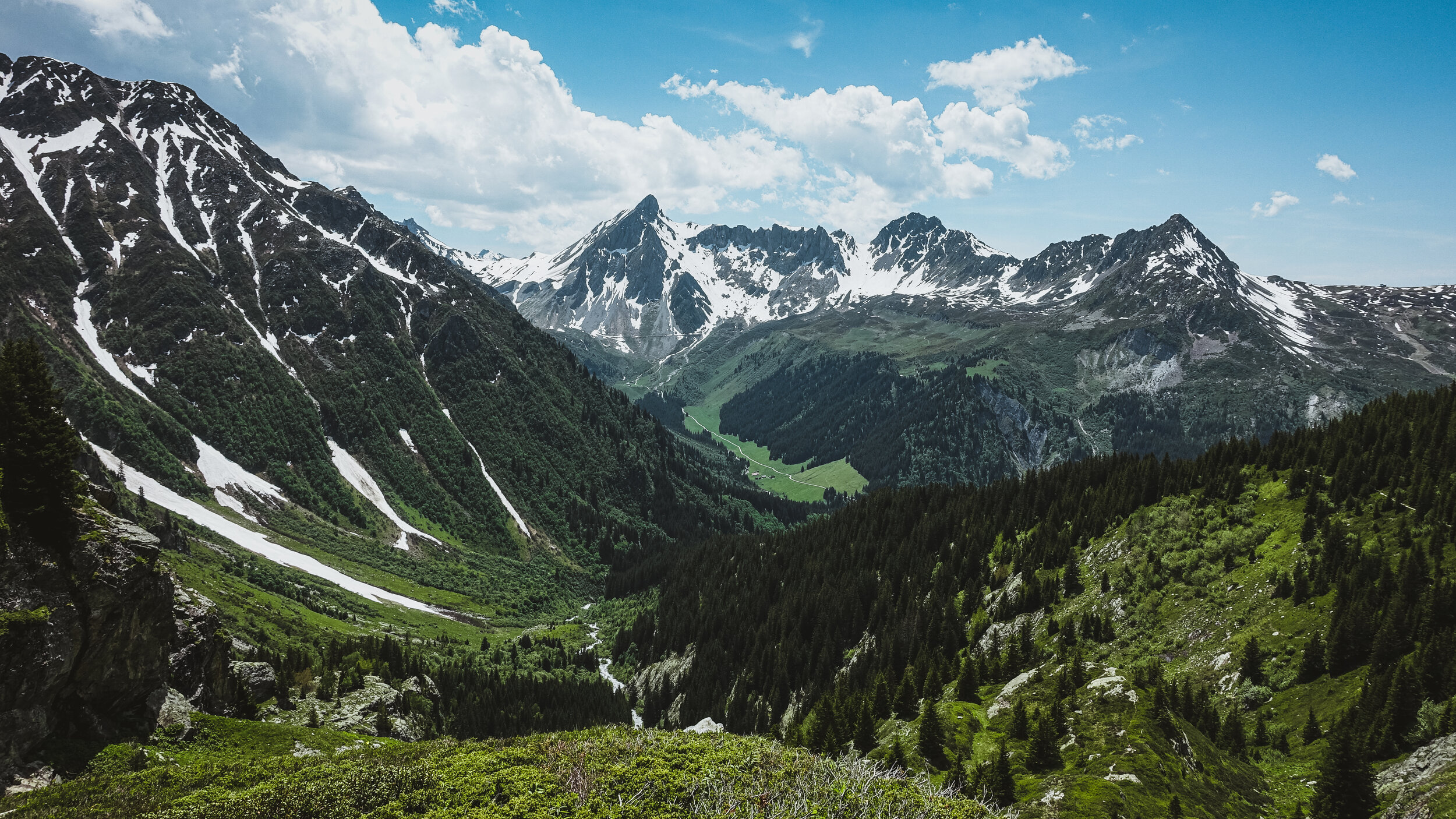 Up there-1.jpg