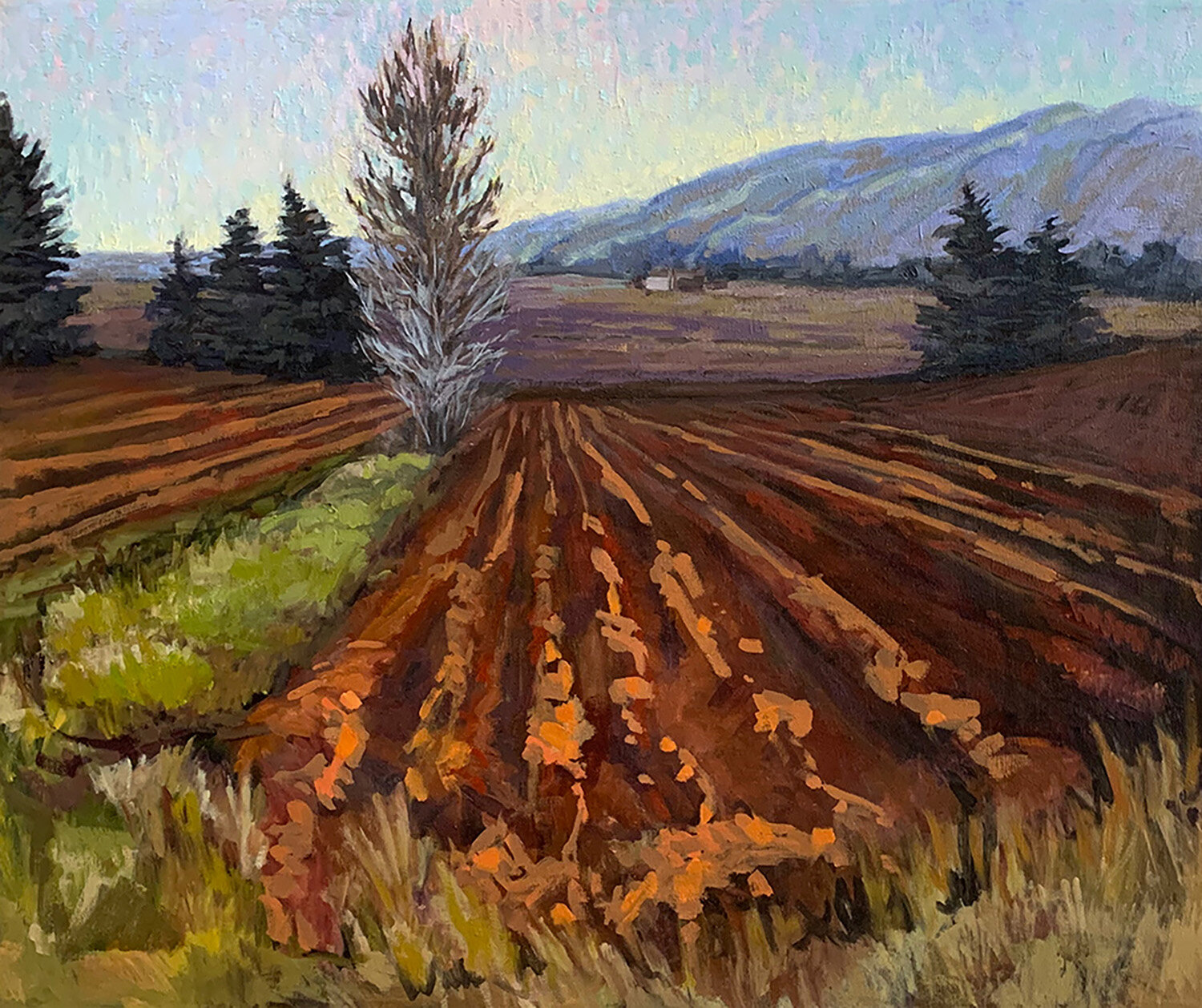 Galleries — Silver City Art Association