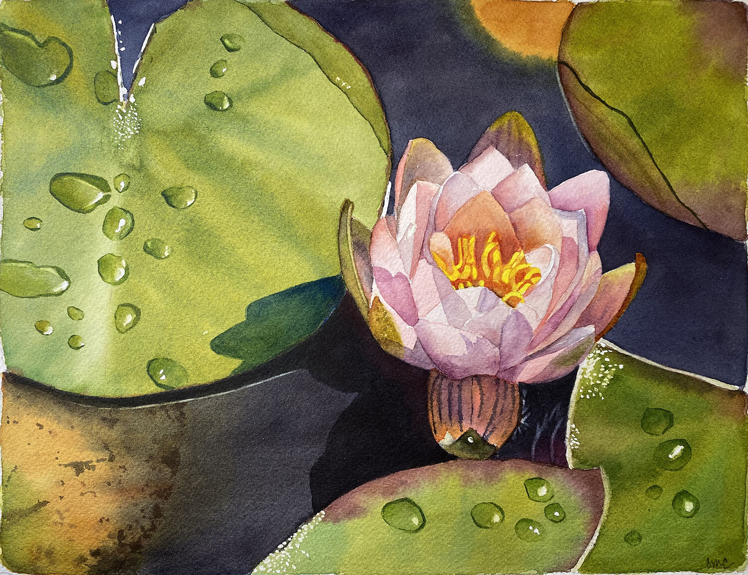 Independent Artists — Silver City Art Association