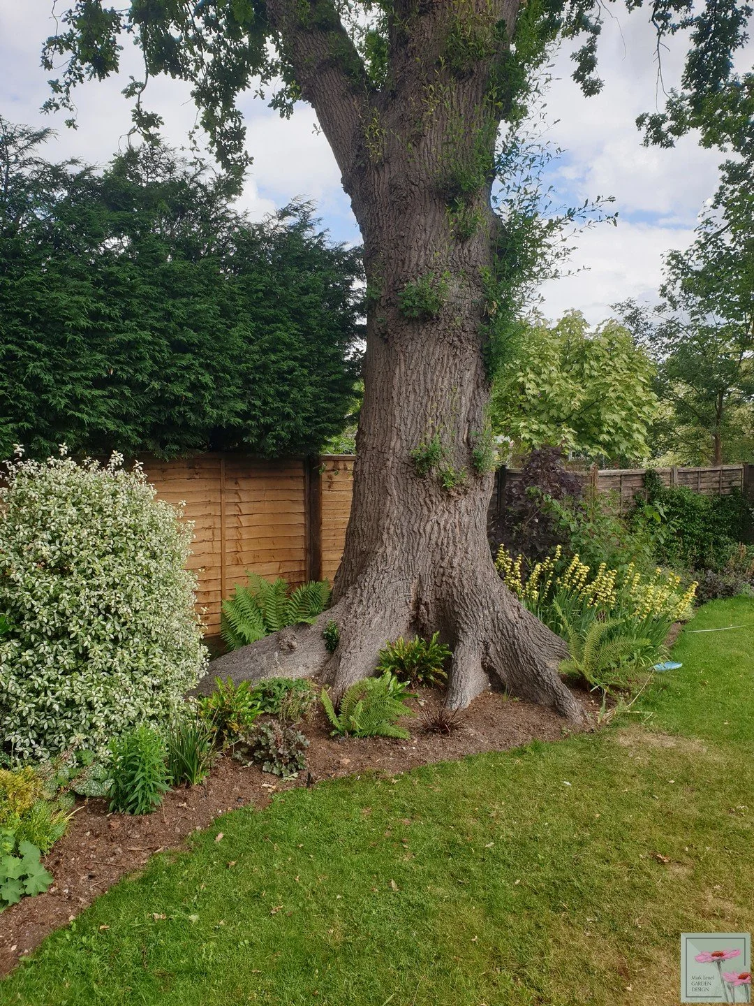 20200615_132127 - Standardised + Watermark.jpg