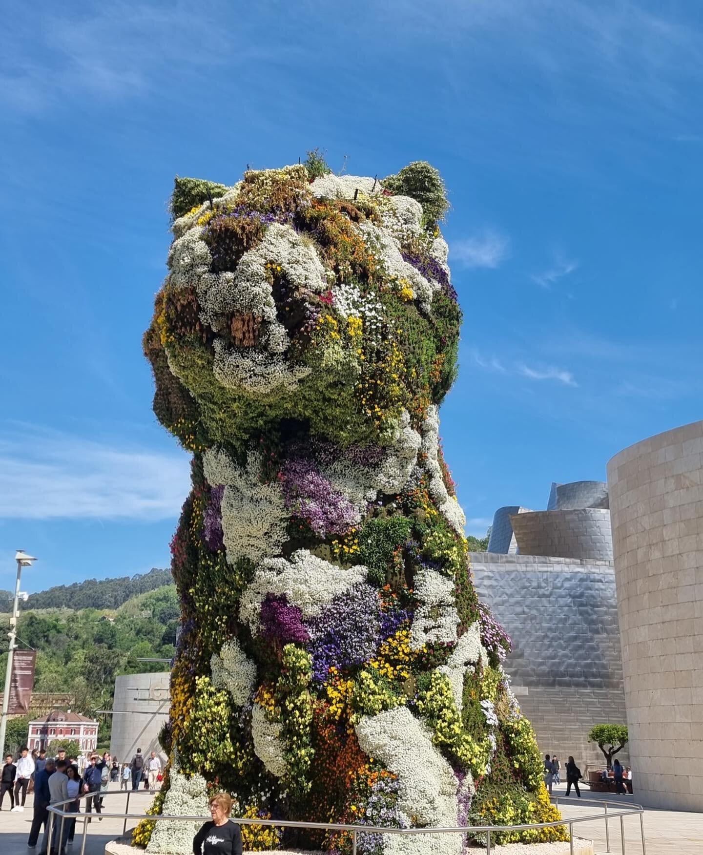 Back from a trip to Bilbao, Spain, including a trip to the Guggenheim Museum where we were greeted by the fabulous 'Puppy' sculpture by Jeff Koons.  It's the world largest flower sculpture and was created in 1992 using new computer modelling techniqu
