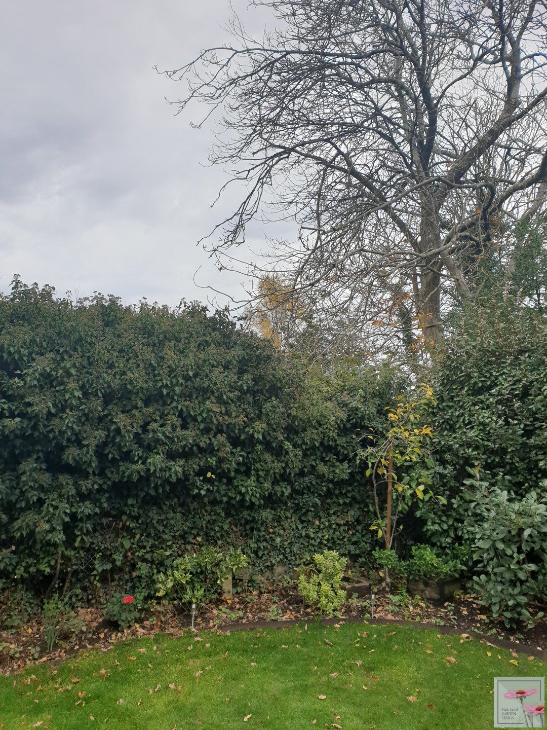 20201116_100546 - Standardised + Watermark.jpg