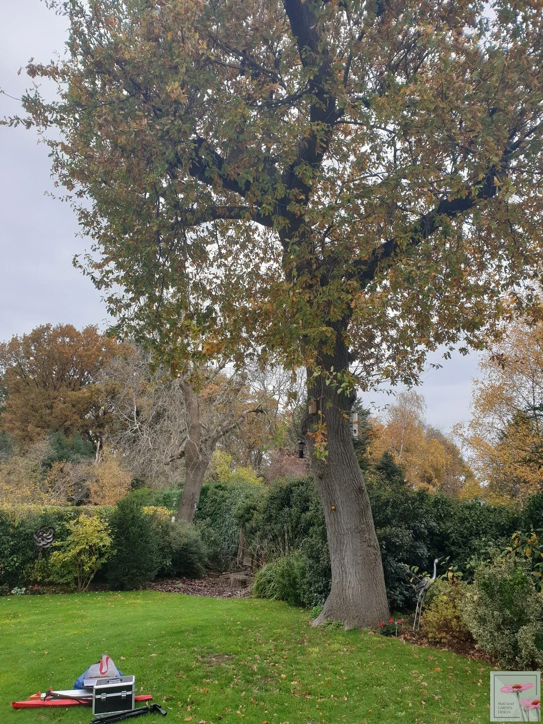 20201116_100541 - Standardised + Watermark.jpg