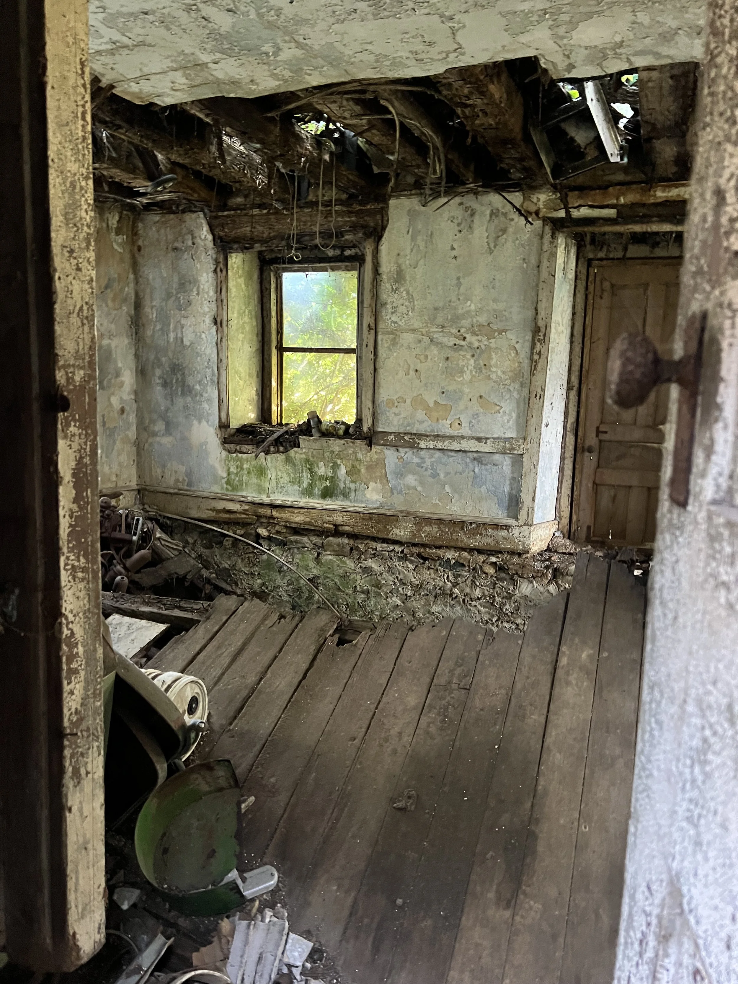 IMG_2387.jpeg