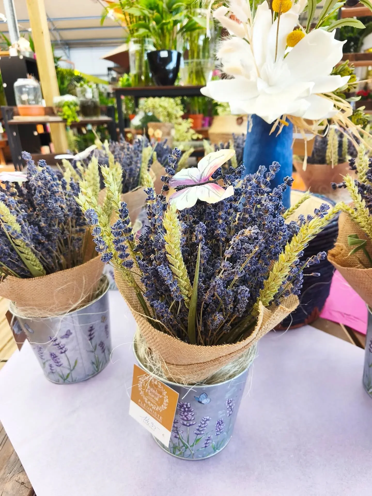 🪻14&euro;95 💜 OFFRE DU MOMENT 
Cache pot + Lavande de Sault 2026 en bouquet sec !
> Profitez encore des couleurs et senteurs estivales 
> Production Locale
> Dans la limite des stocks disponibles