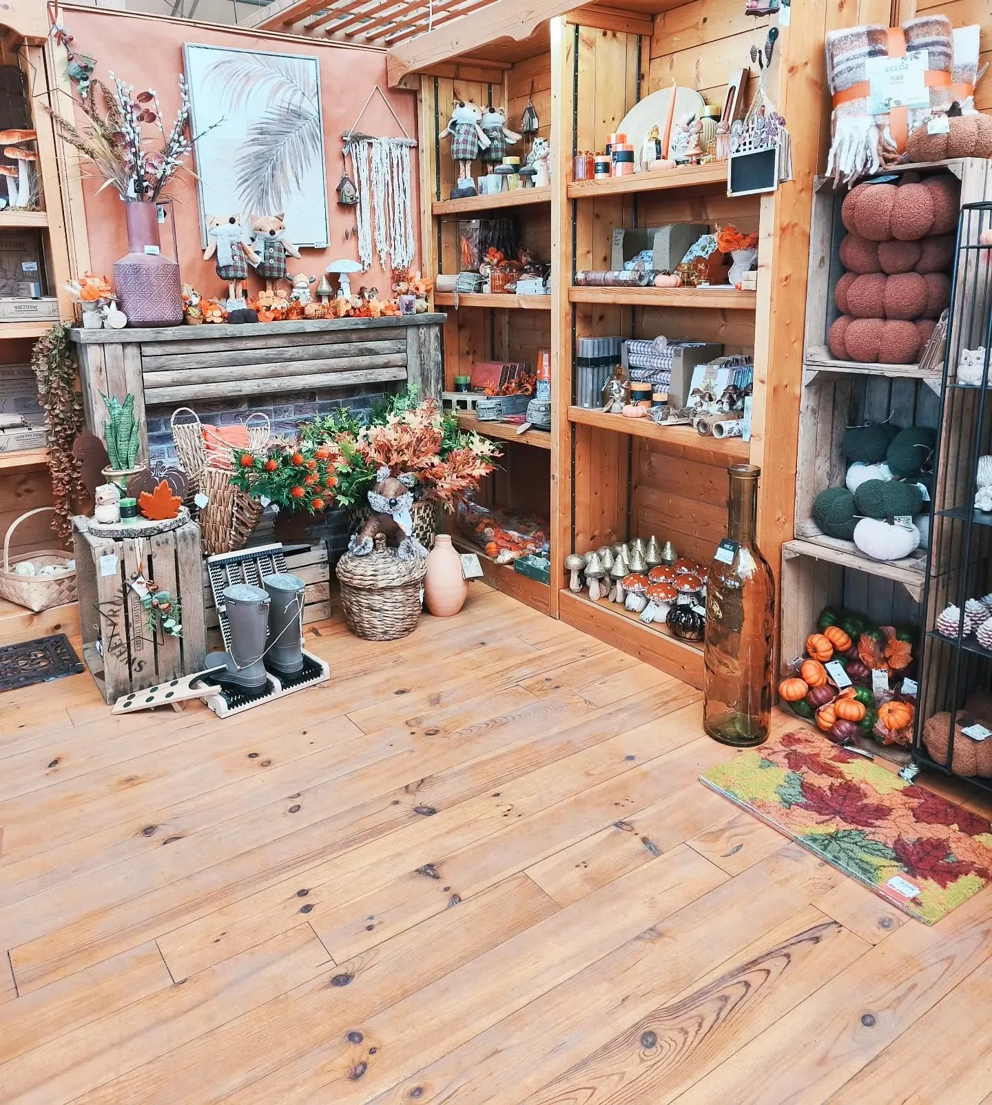 Les temp&eacute;ratures, et les jours qui se raccourcissent nous rappellent tout doucement que nous rentrons dans L'AUTOMNE 🍂👢🌰

🦔🐿️Une belle occasion de red&eacute;corer son entr&eacute;e de Maison &amp; Son int&eacute;rieur avec ces belles d&e