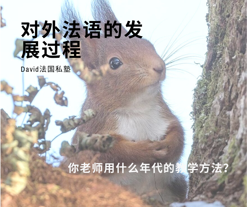 对外法语的发展过程