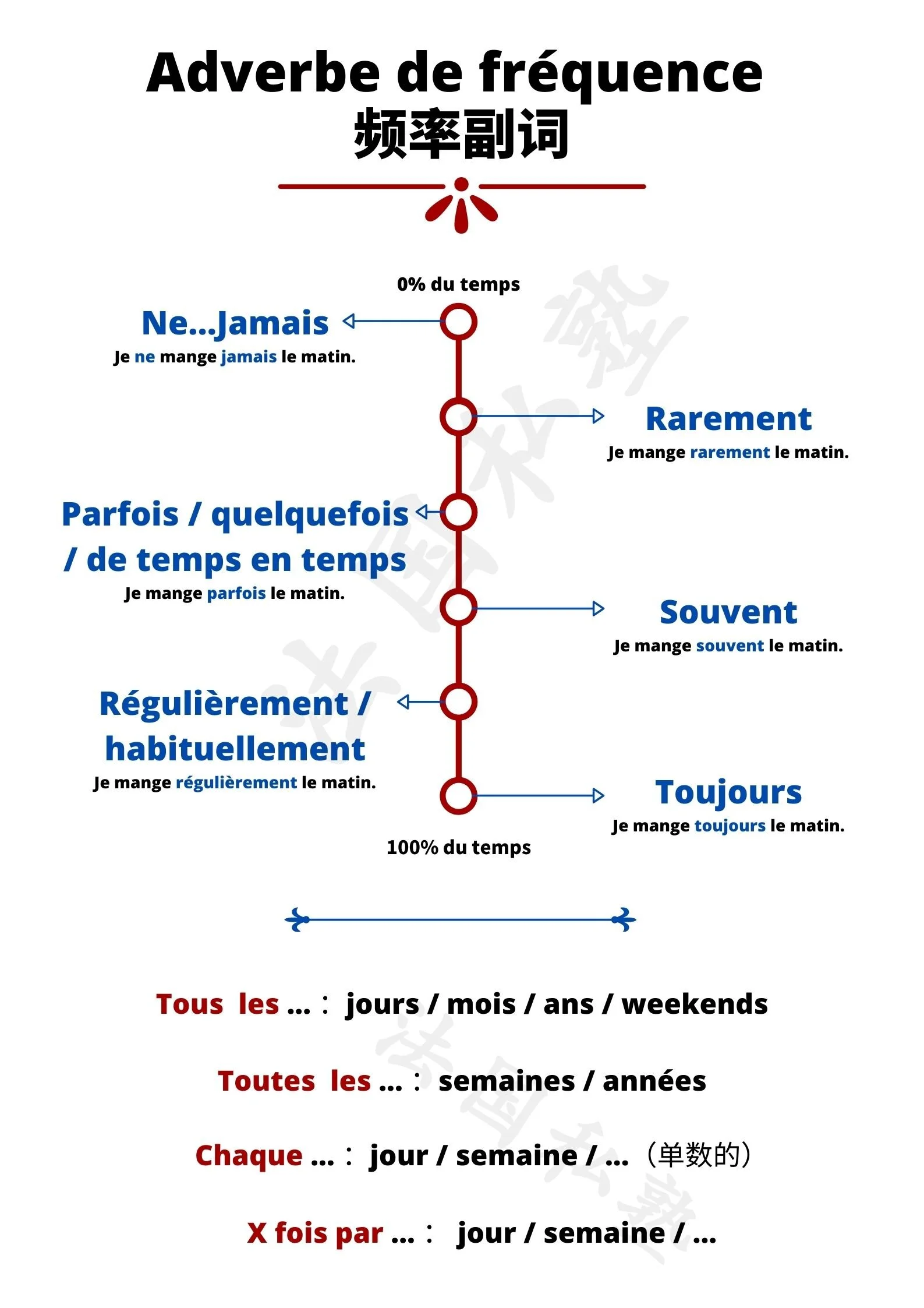 Adverbe de fréquence 副词频率