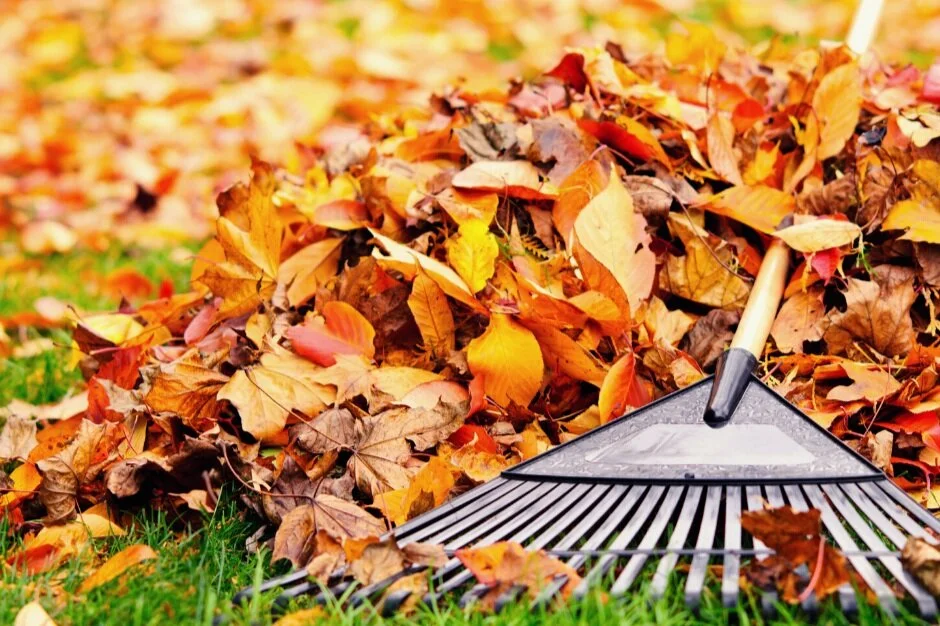 Autumn Raking Safety Autumn Injury Prevention Tips: Raking Leaves-Mangiarelli Rehabilitation