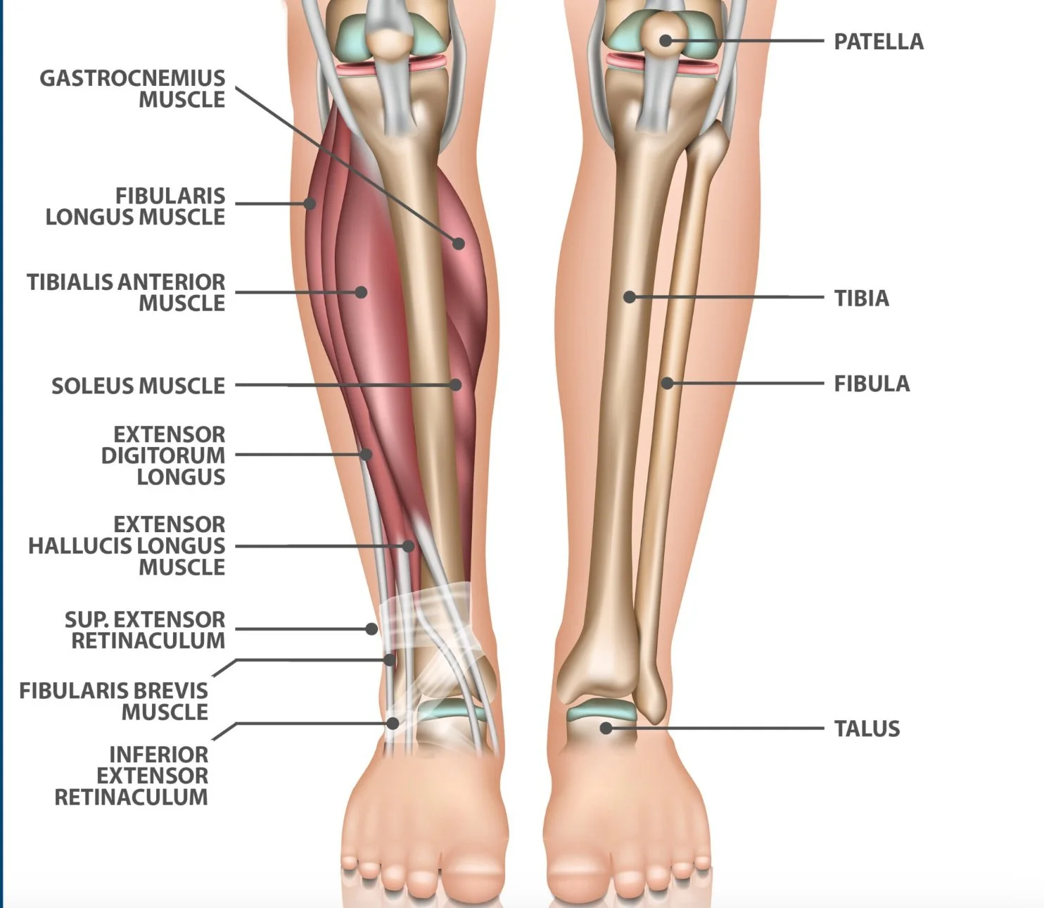 Addressing Shin Splints During Track and Field Season-Mangiarelli ...