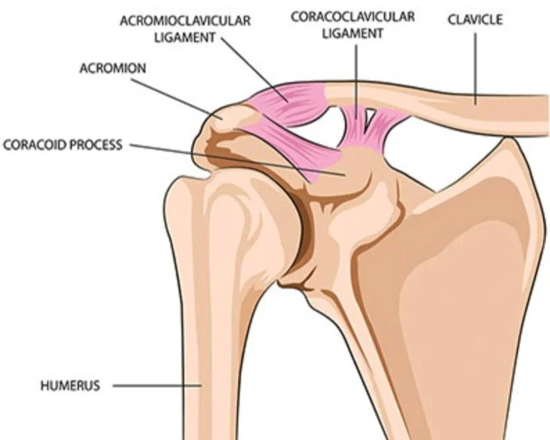 Physical Therapy for an AC Joint Sprain-Mangiarelli Rehabilitation
