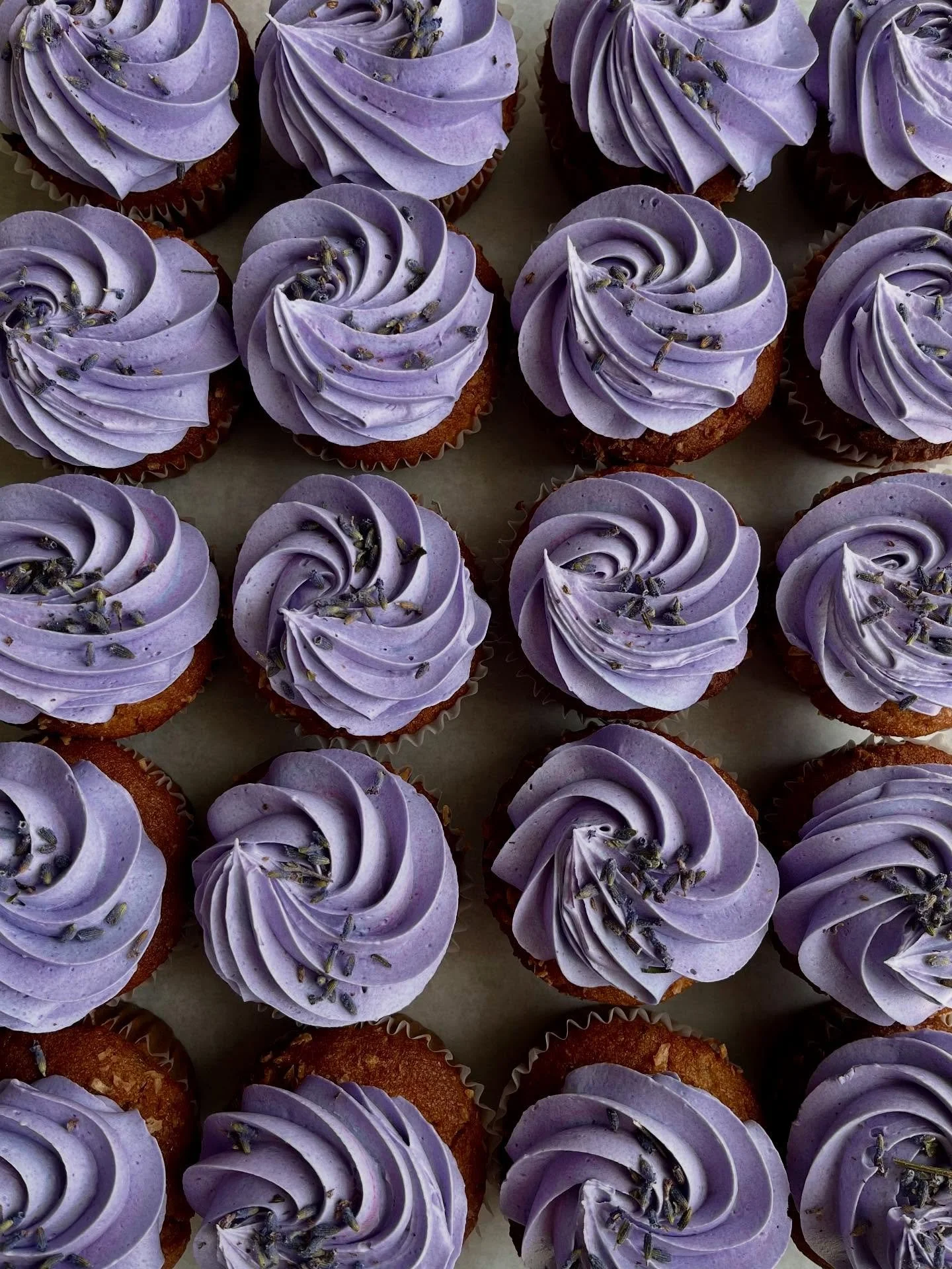 ✨August Items ✨
🧁 Lavender Coconut Cupcake
lavender coconut cupcake with vanilla frosting
🍩 Birthday Cake Donut
vanilla confetti donut, vanilla glaze, vanilla frost & confetti sprinkles 
🍓 Strawberry Muffin
Vanilla muffin with chunks of fresh