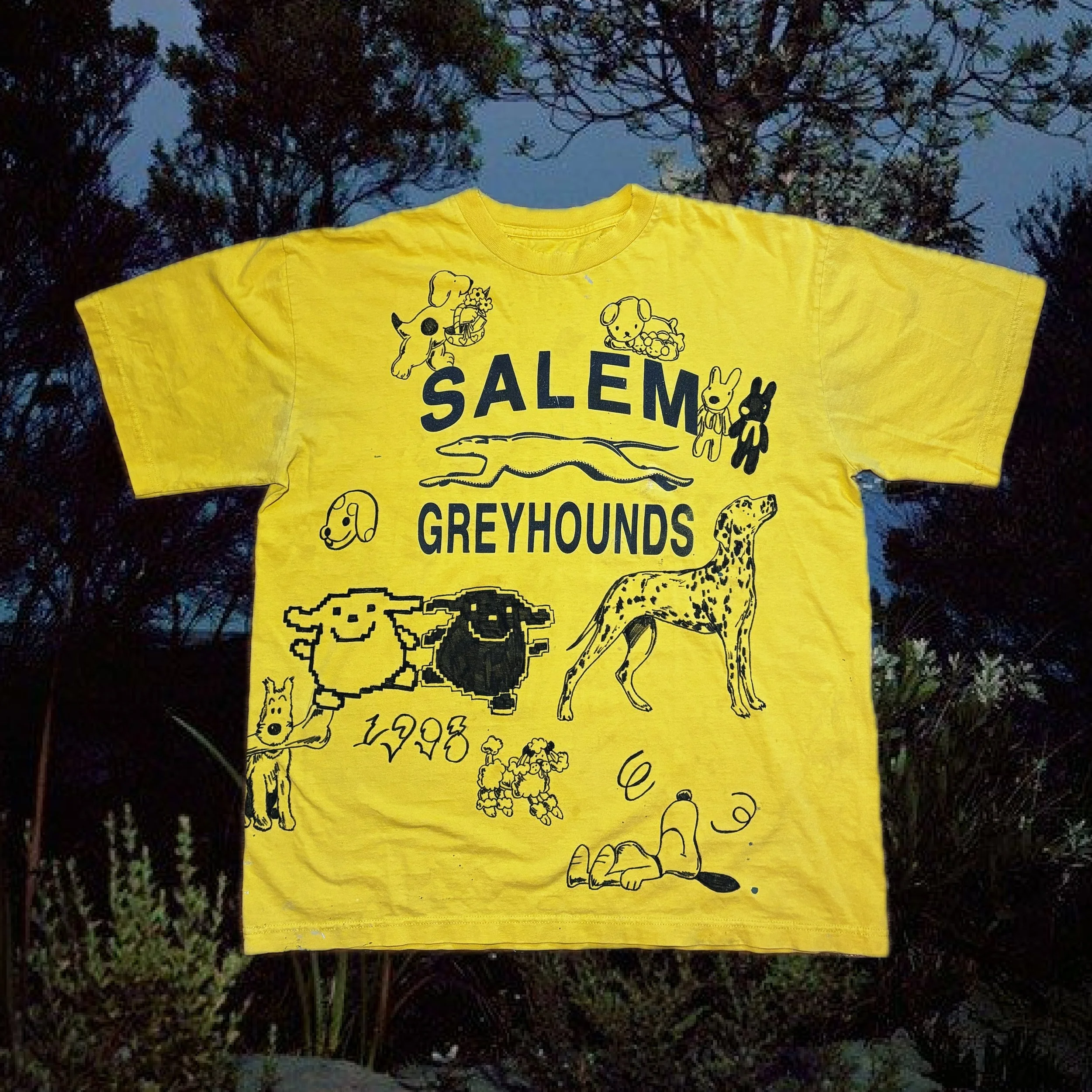 greyhounds1.jpg