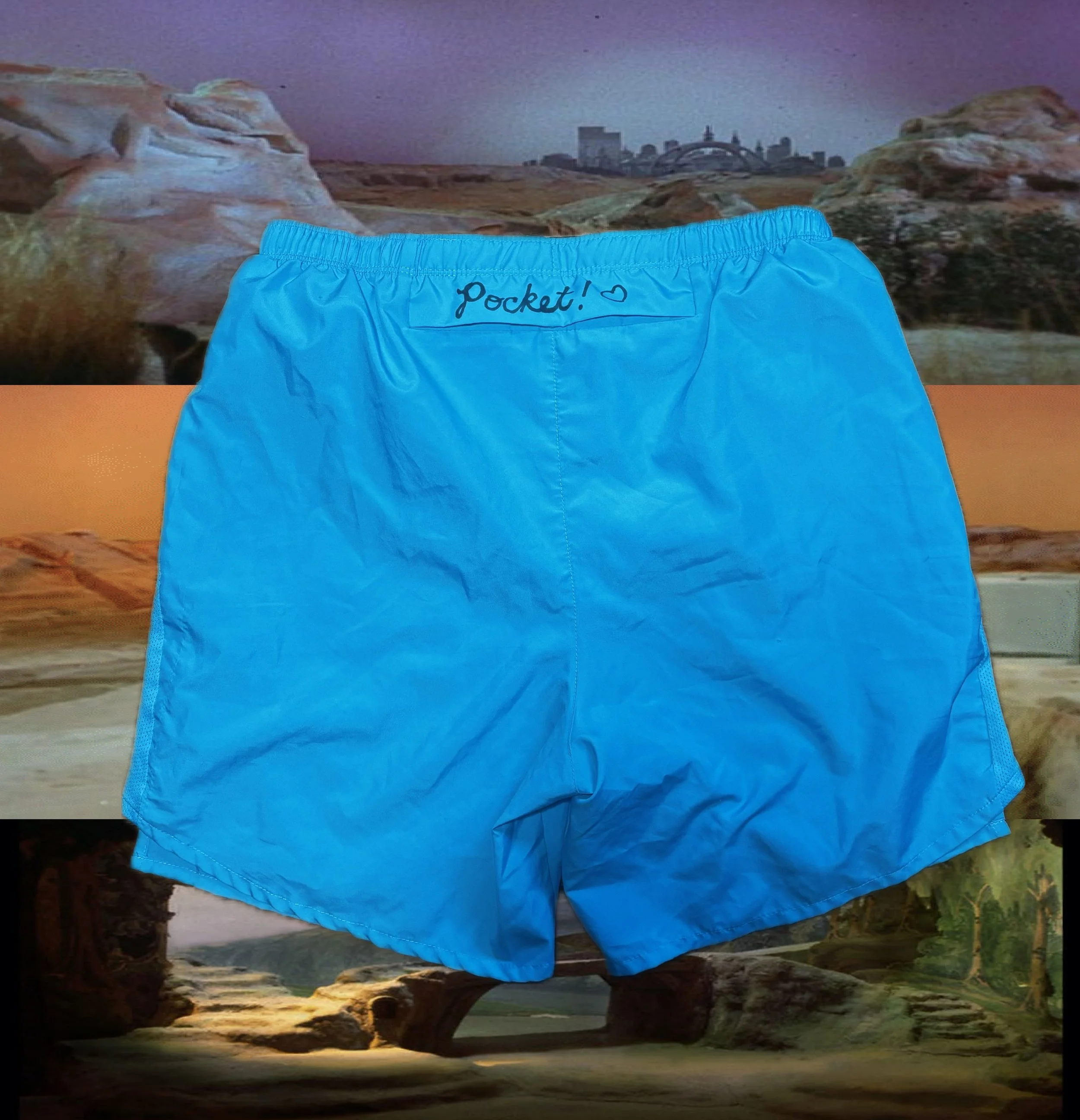 blueshortsback.jpg