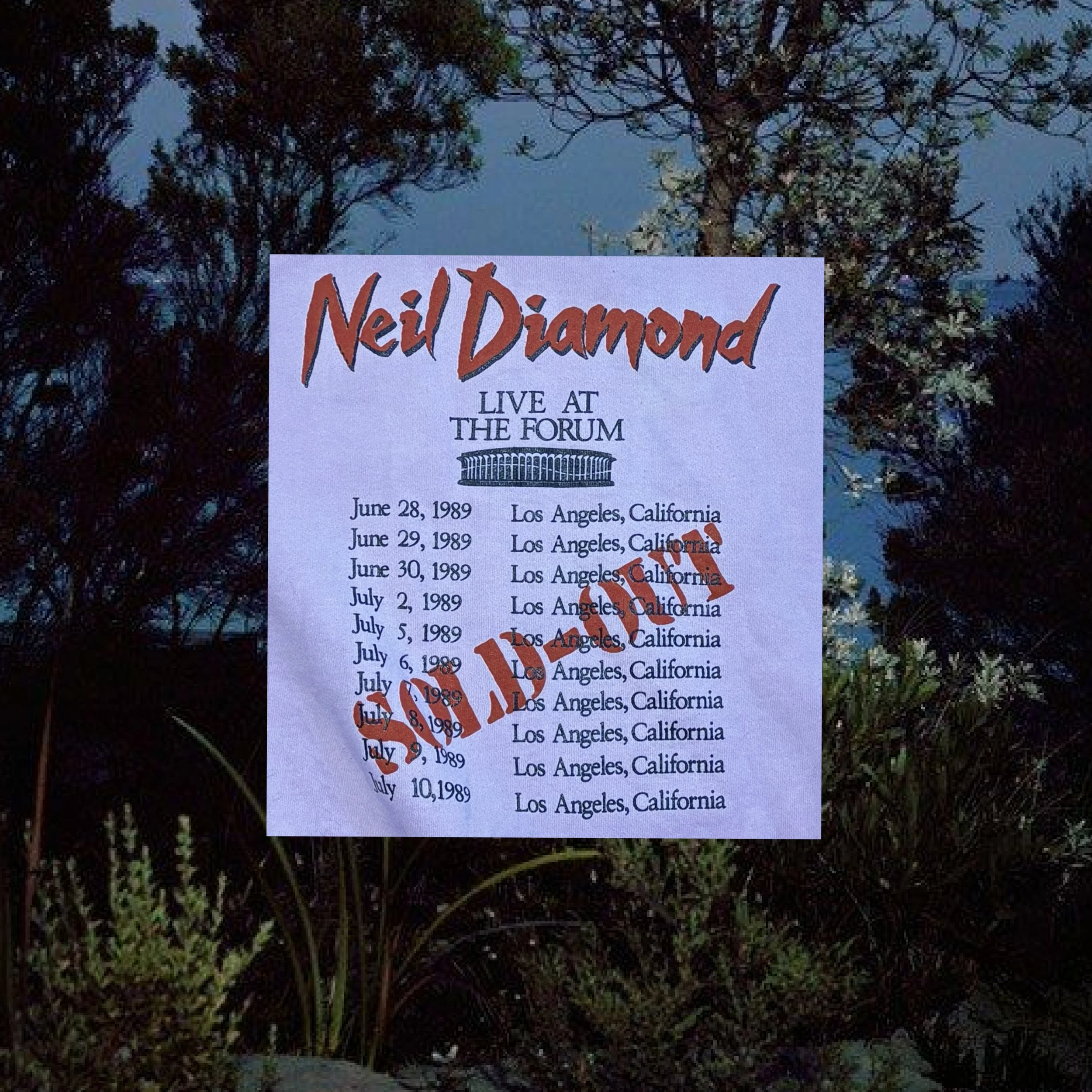 neil2.jpg