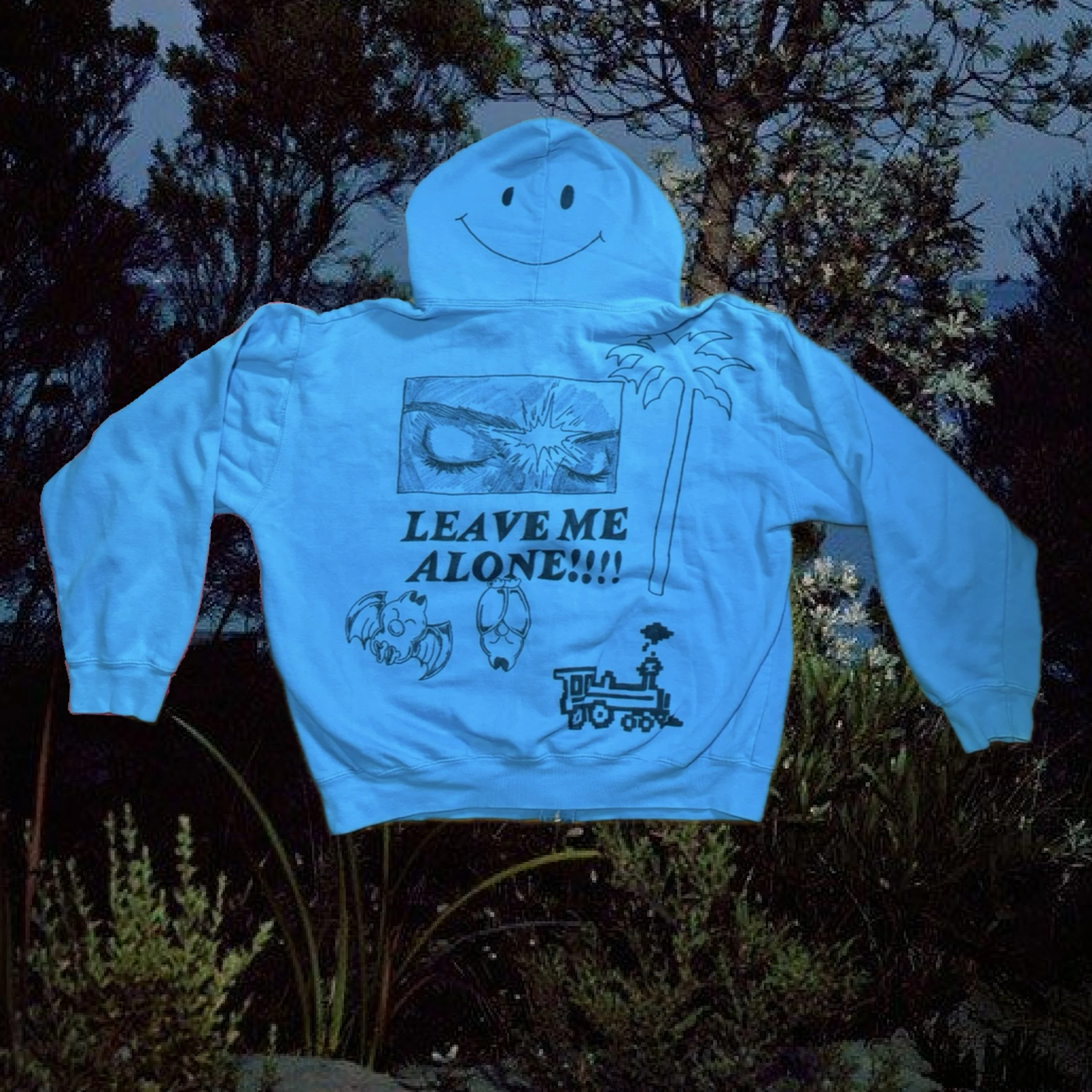 hoodie1.jpg
