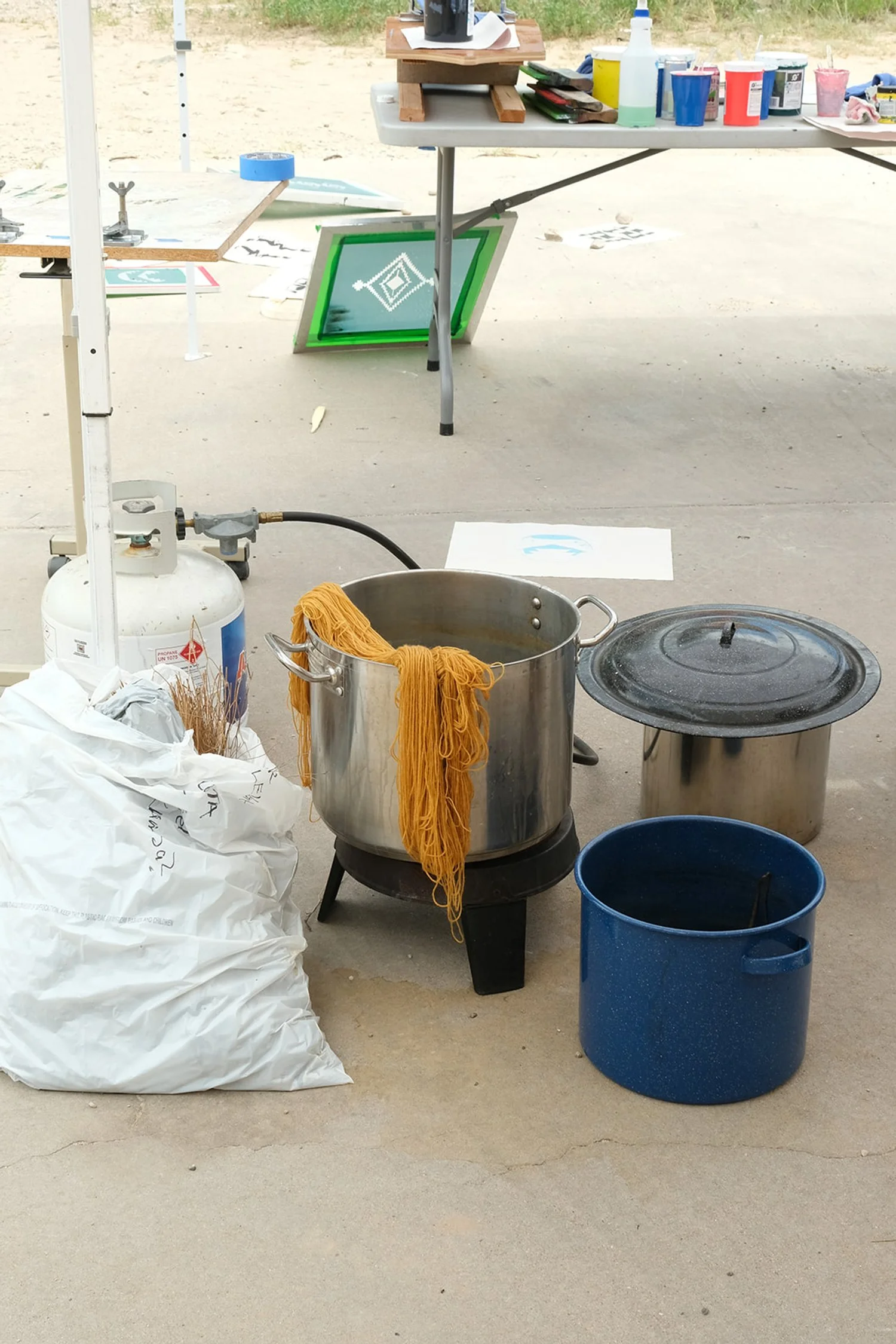 open house_natural dye 11.jpg