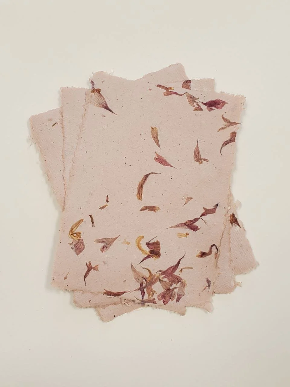 From Textile Waste to Paper -Upcycled Paper Making 101