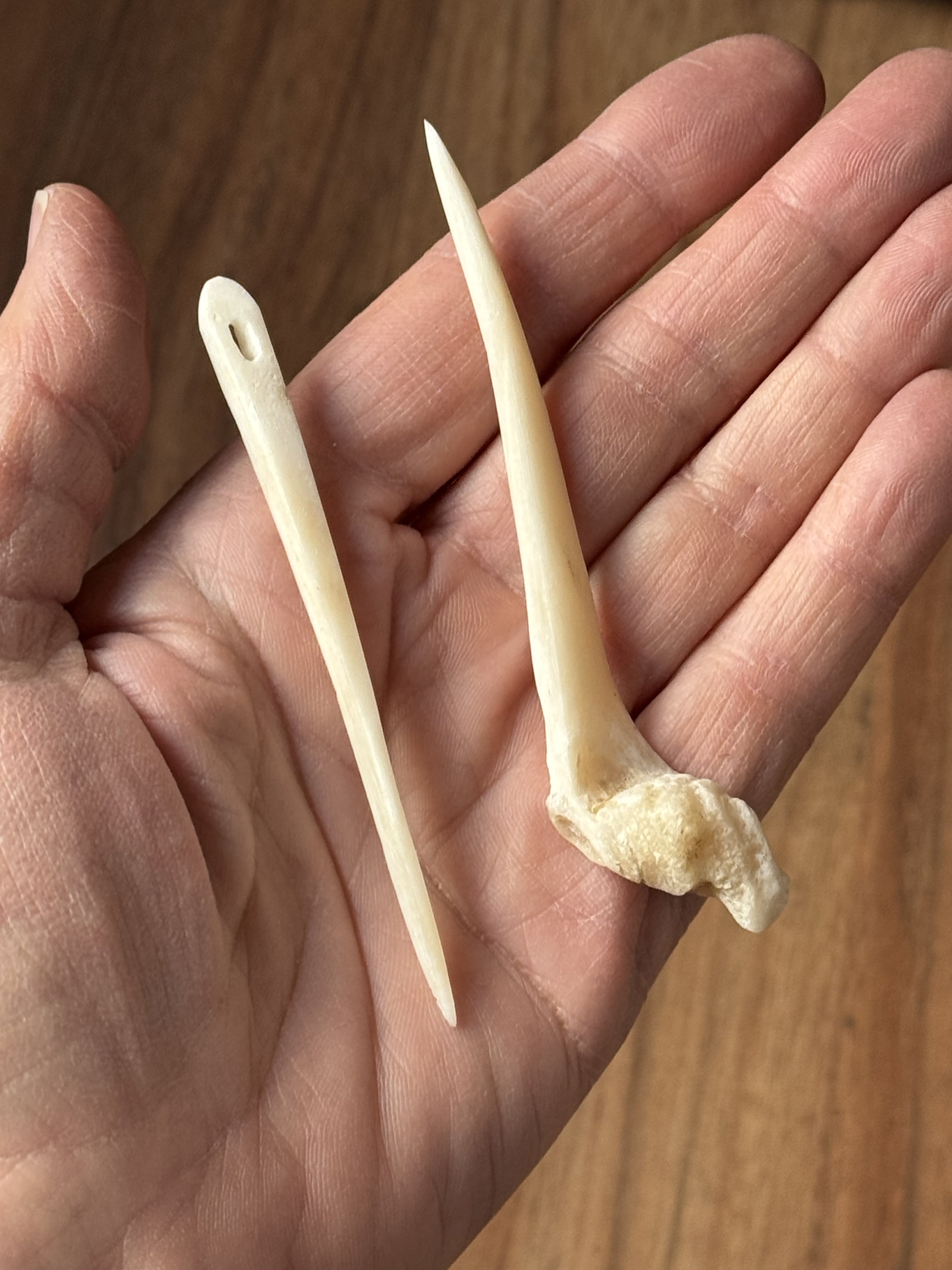Pins and Needles:
Making Fiber Tools from Bone and Wood with Carol Padberg