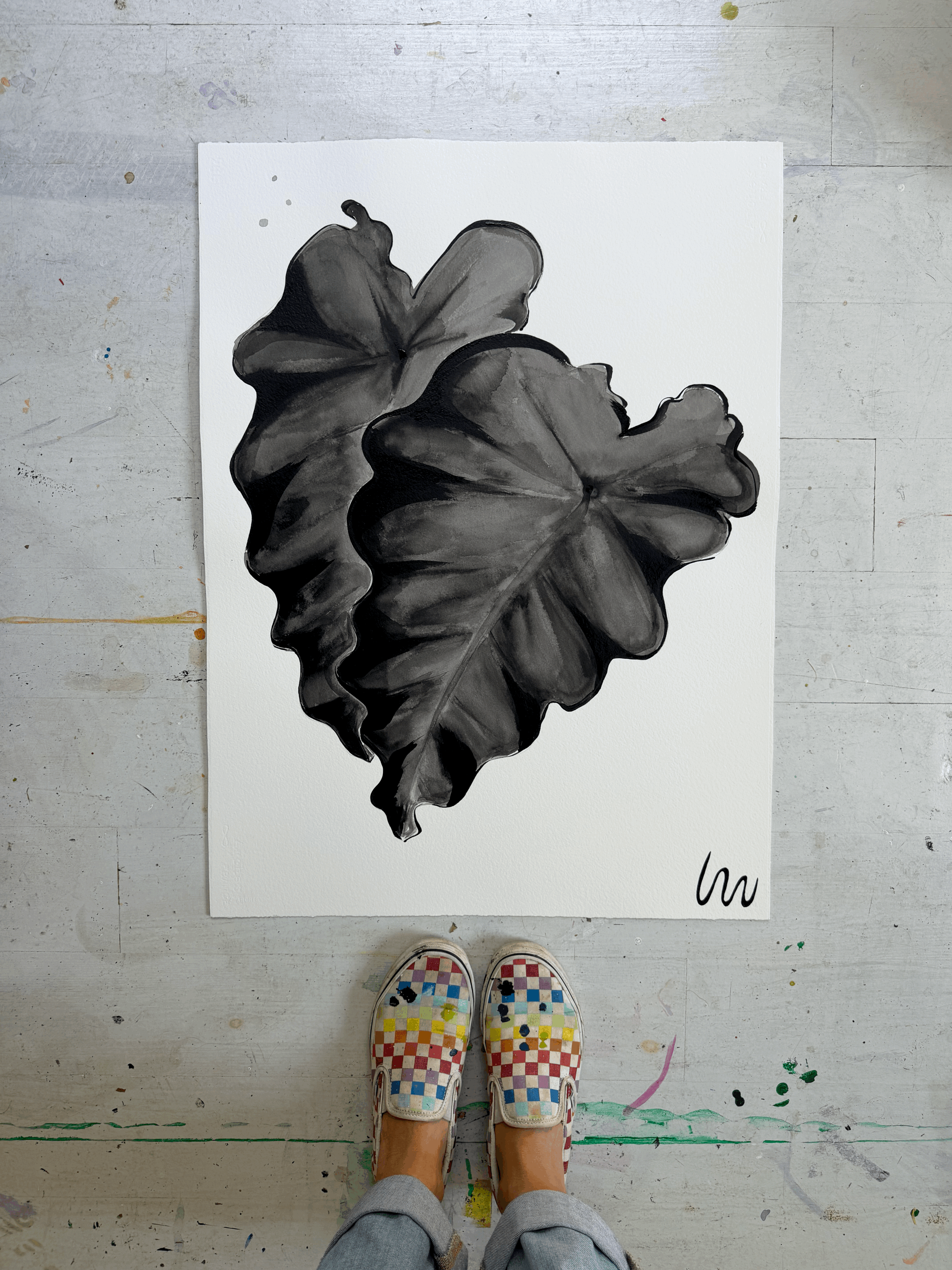 Elephant Ears IV