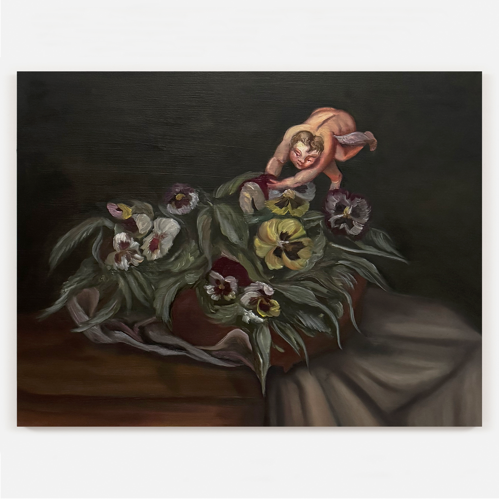 "Pansy", 2024
