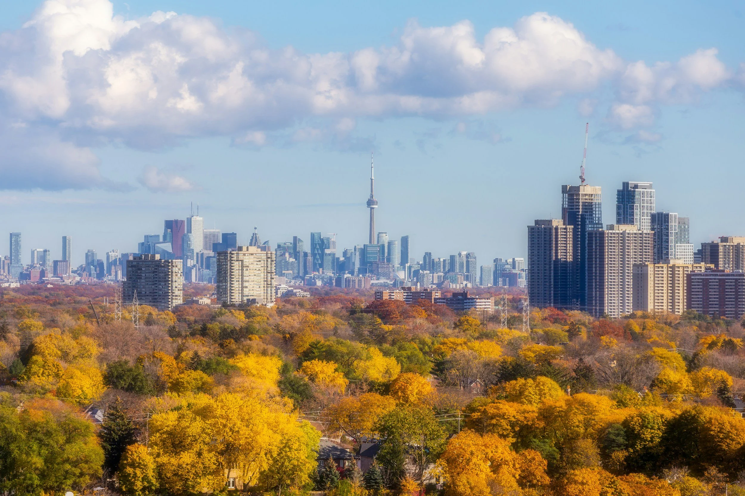 Before the Snow Flies Part 1: Five Signs Your Roof Should Not Go Through Another Winter