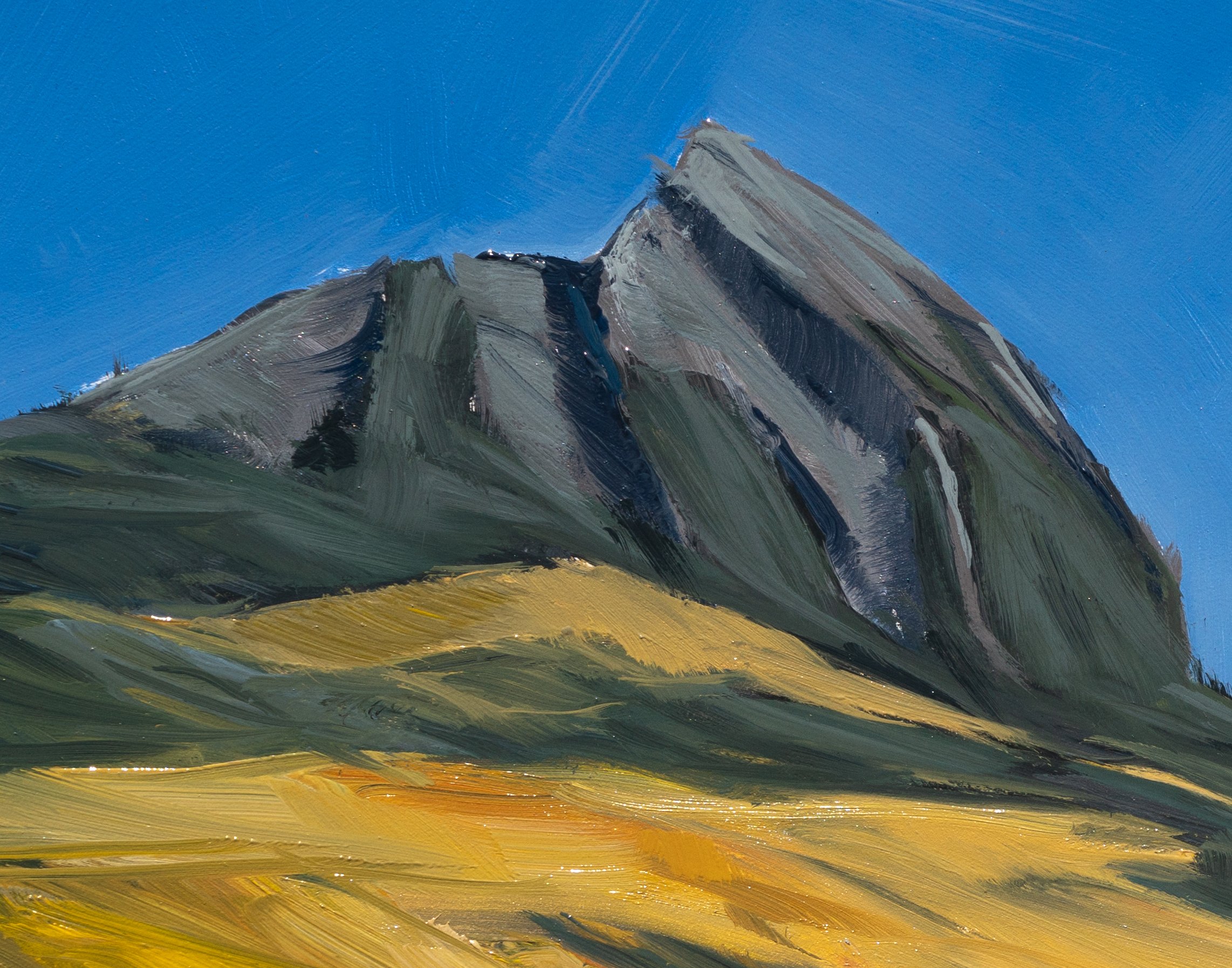 24-10-COLORADO PLEIN AIR-LK-DETAILS-3.jpg
