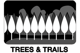 F-ANI-GIFS-Tree-_-Trails.gif