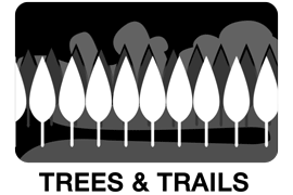 ANI-GIFS-Tree-_-Trails.gif